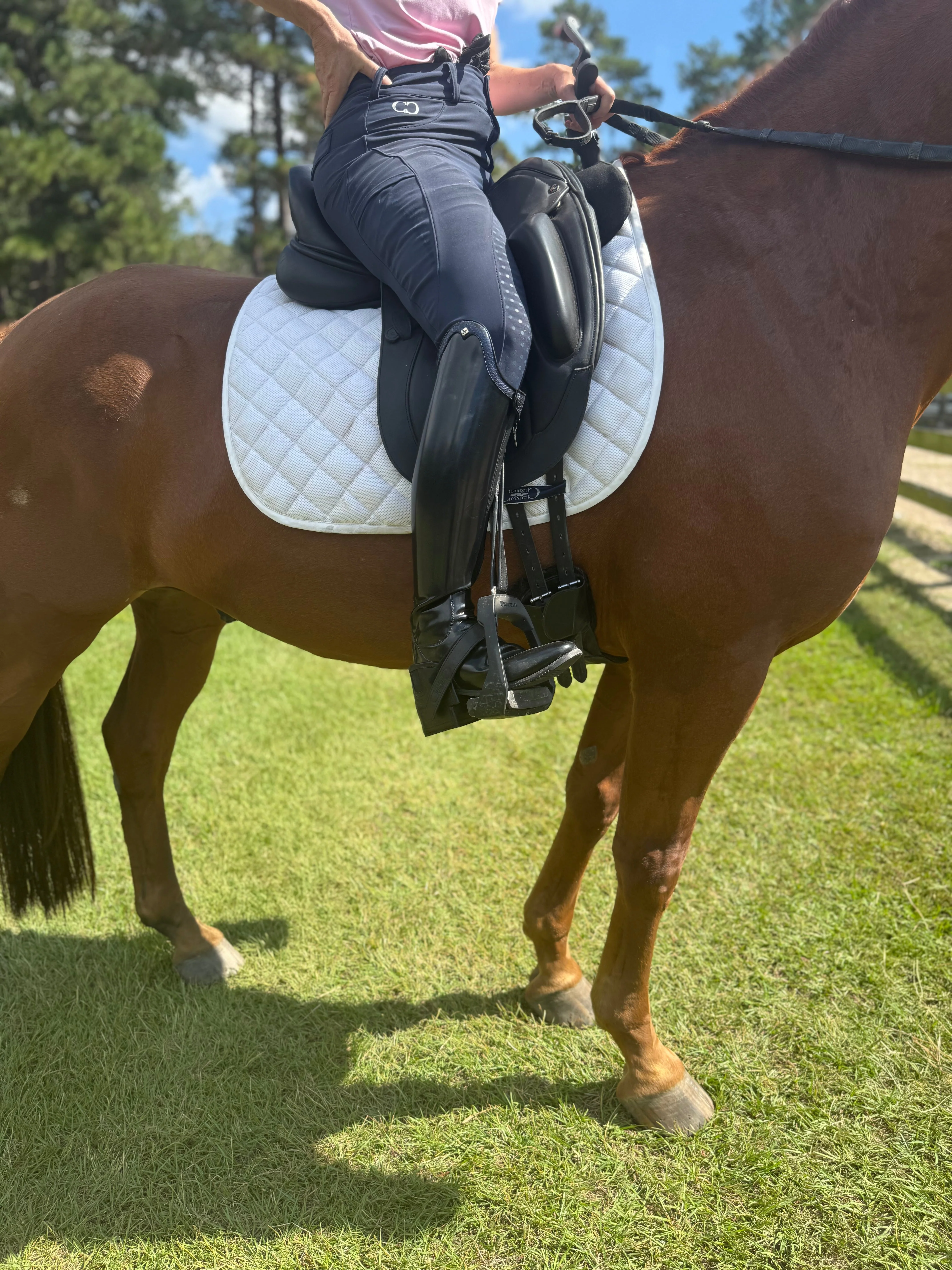 Equisole EXternal-Weighted Training Aid for Equestrians - Image 6