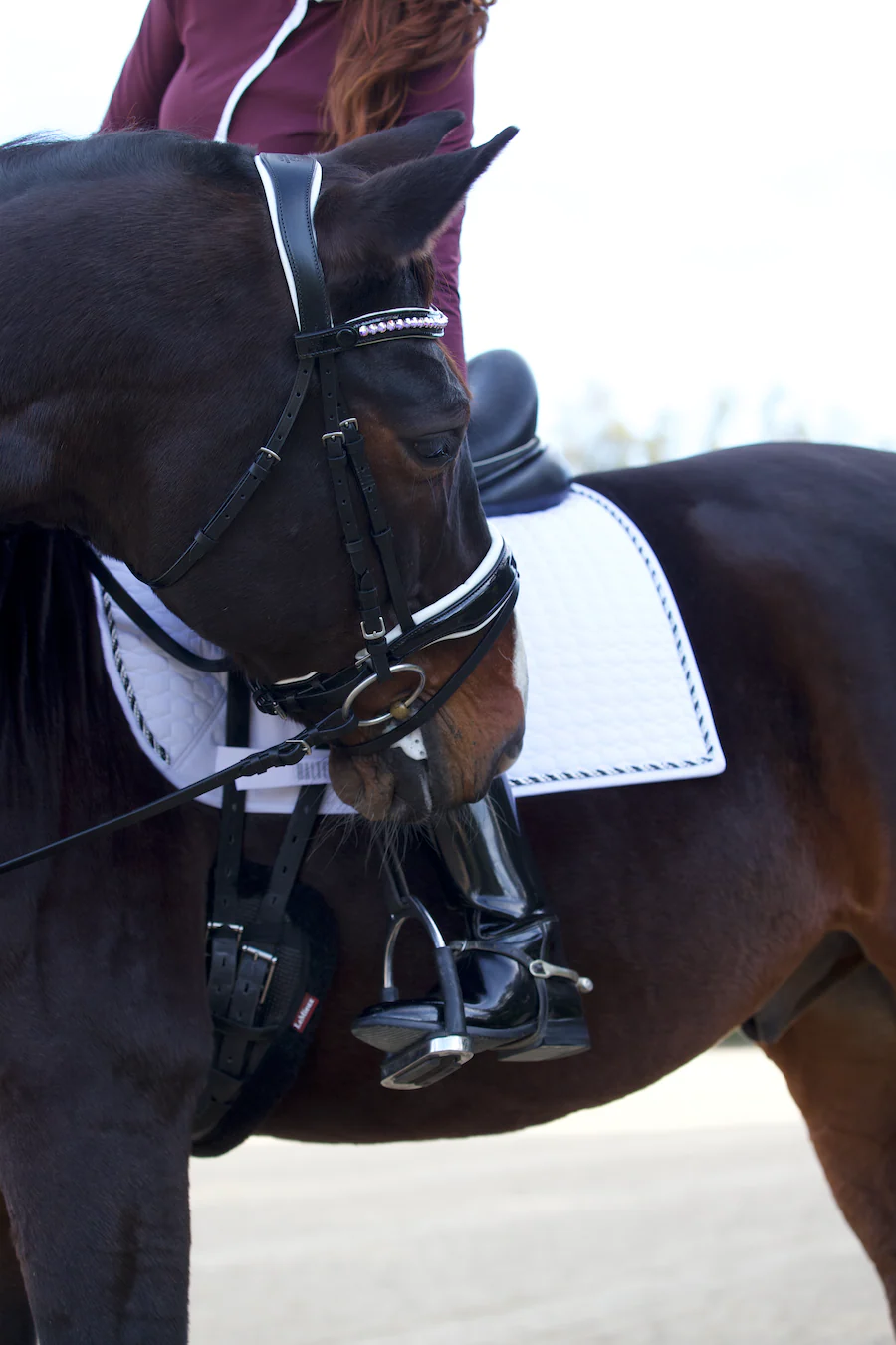 European Cotton Dressage Saddle Pad - Image 6