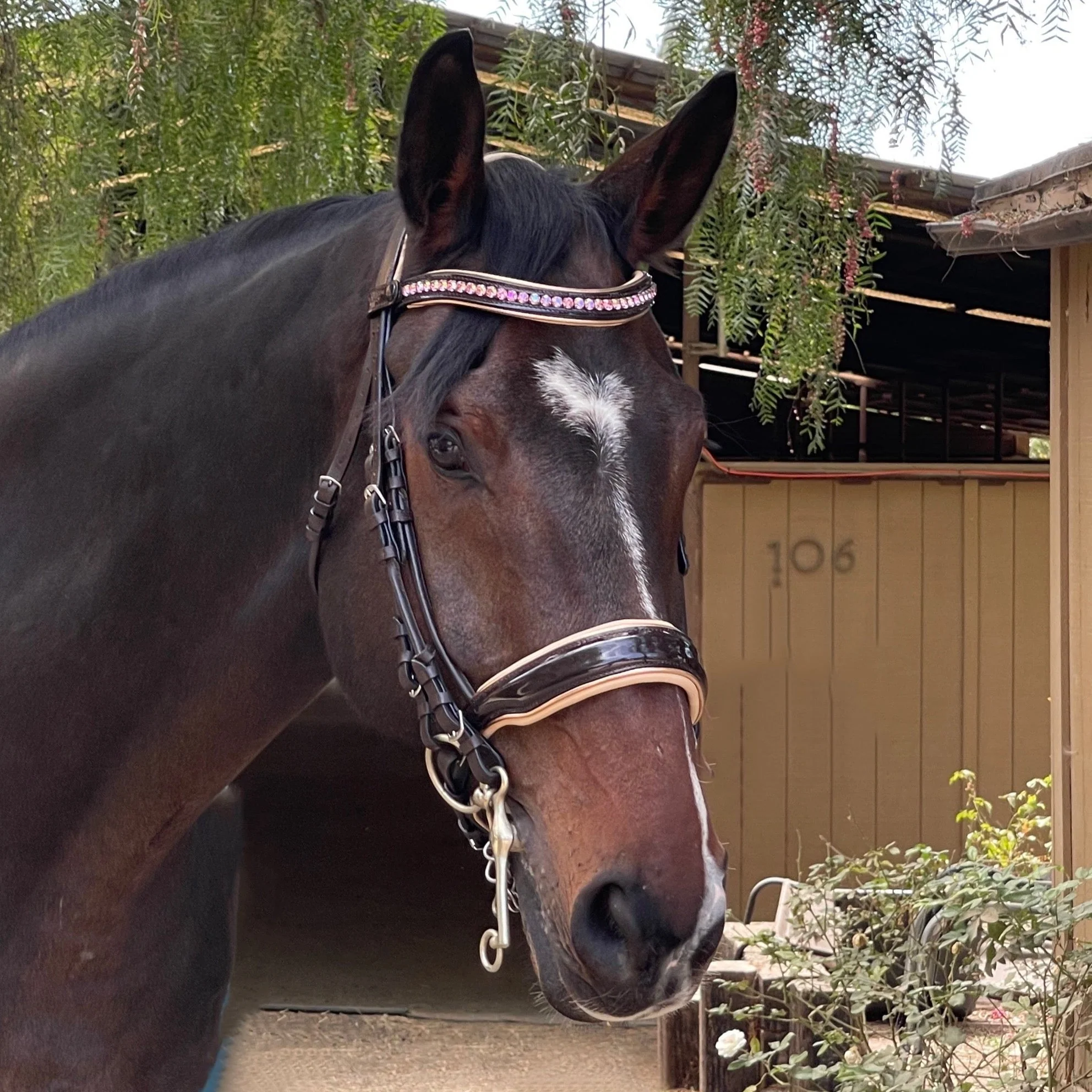 Florence - Brown Patent Leather Double Bridle with Cream Padding & Rose Gold Piping - Image 2