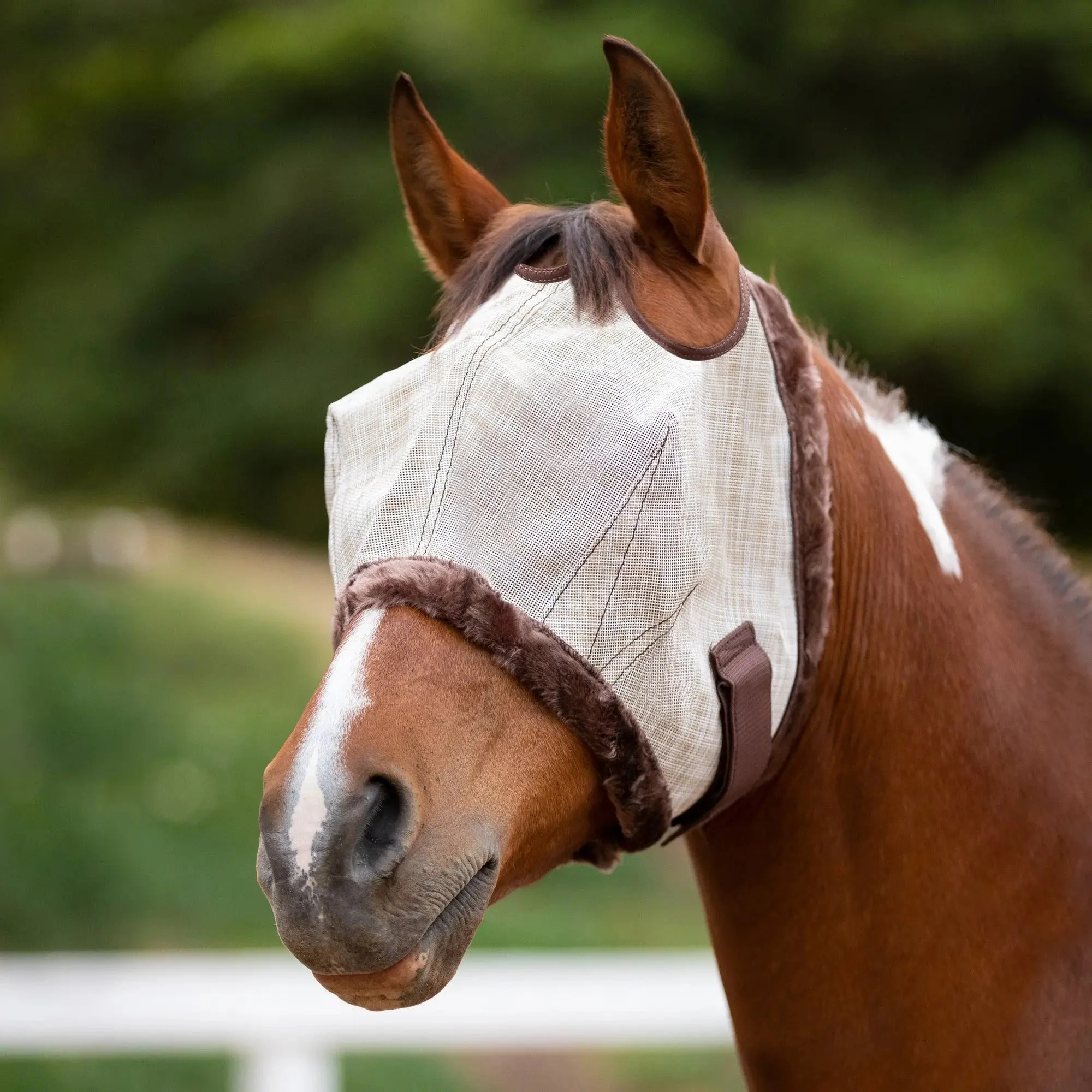 Fly Mask with Fleece Trim - Dual Ear Holes - 73% UV Blocking - Image 6