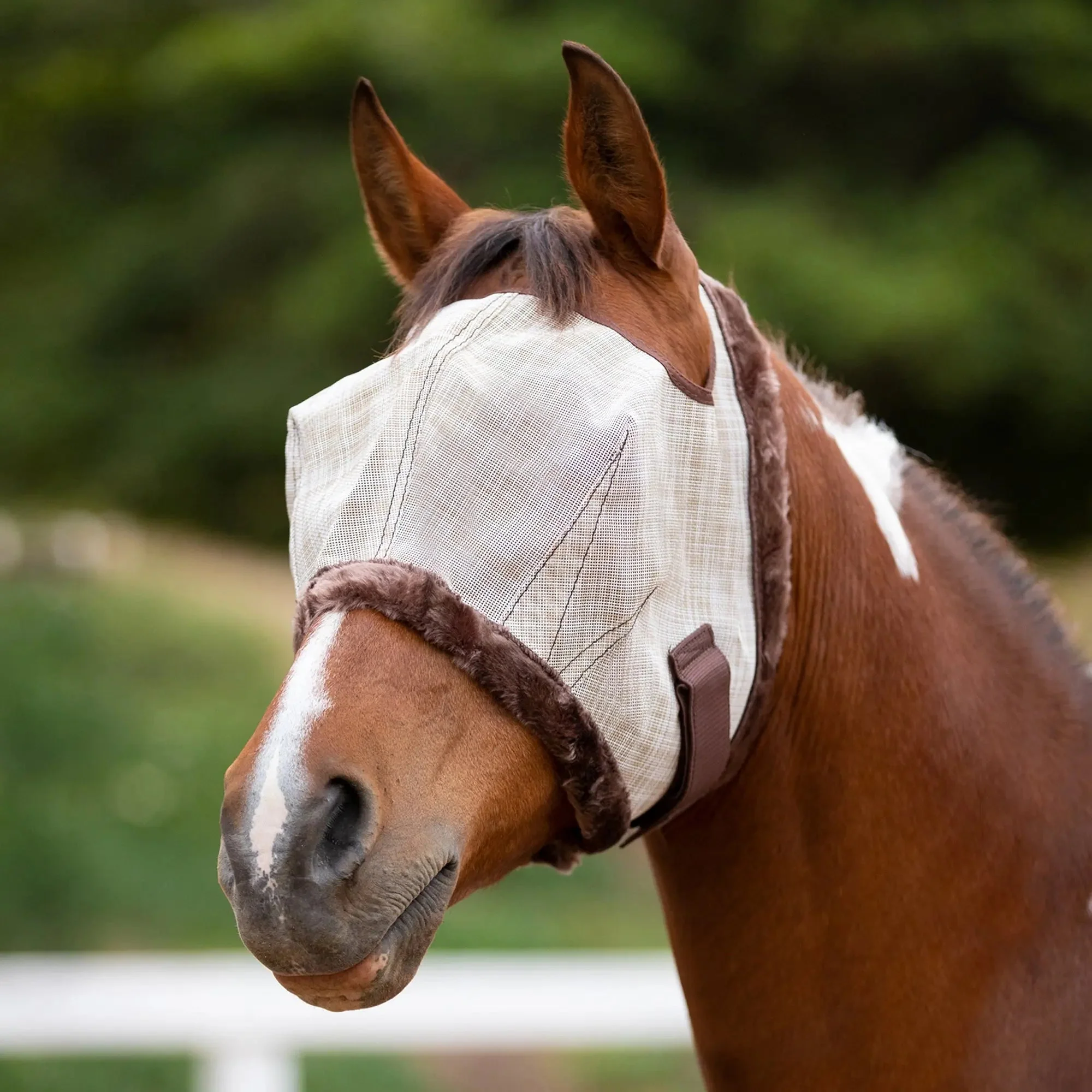 Fly Mask with Fleece Trim - Open Ear Design - 73% UV Blocking - Image 6