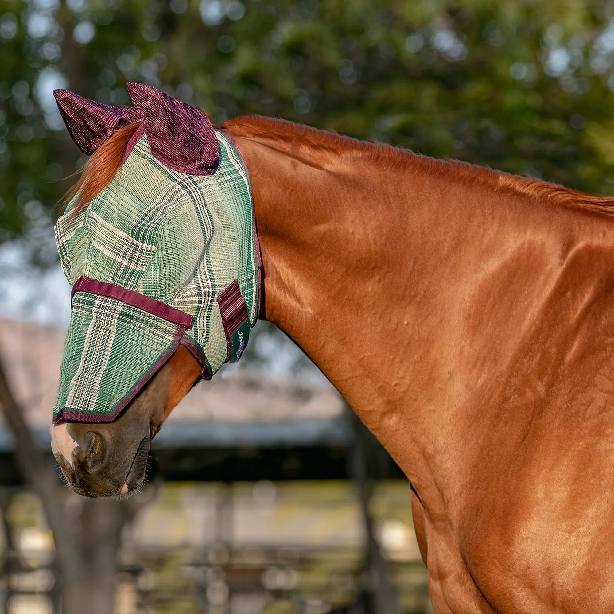 Fly Mask with Removable Nose and Soft Mesh Ears - 73% UV Blocking - Image 5