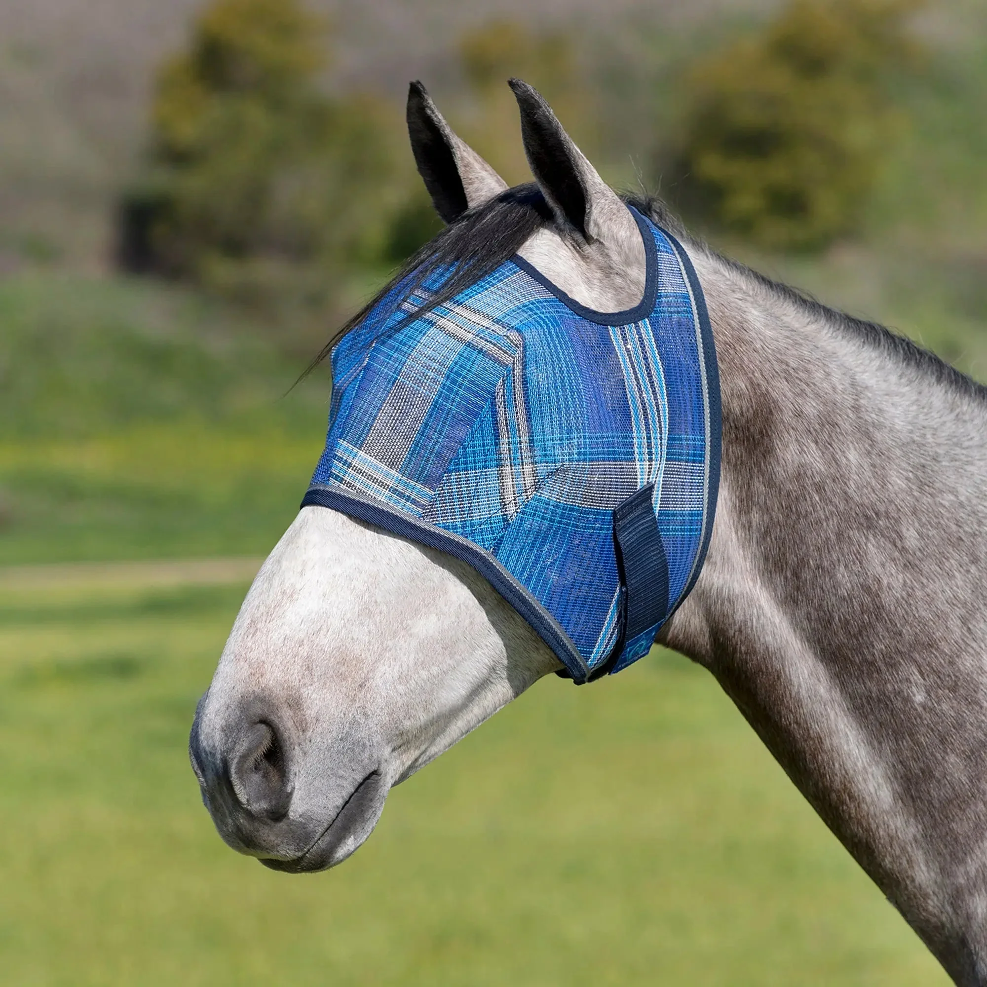 Fly Mask with Web Trim - Open Ear Design - 73% UV Blocking - Image 2