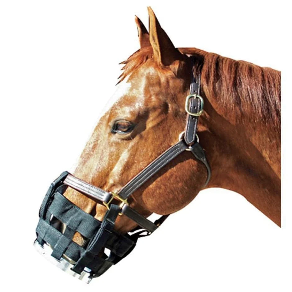 Free-To-Eat Cribbing Muzzle - Image 3
