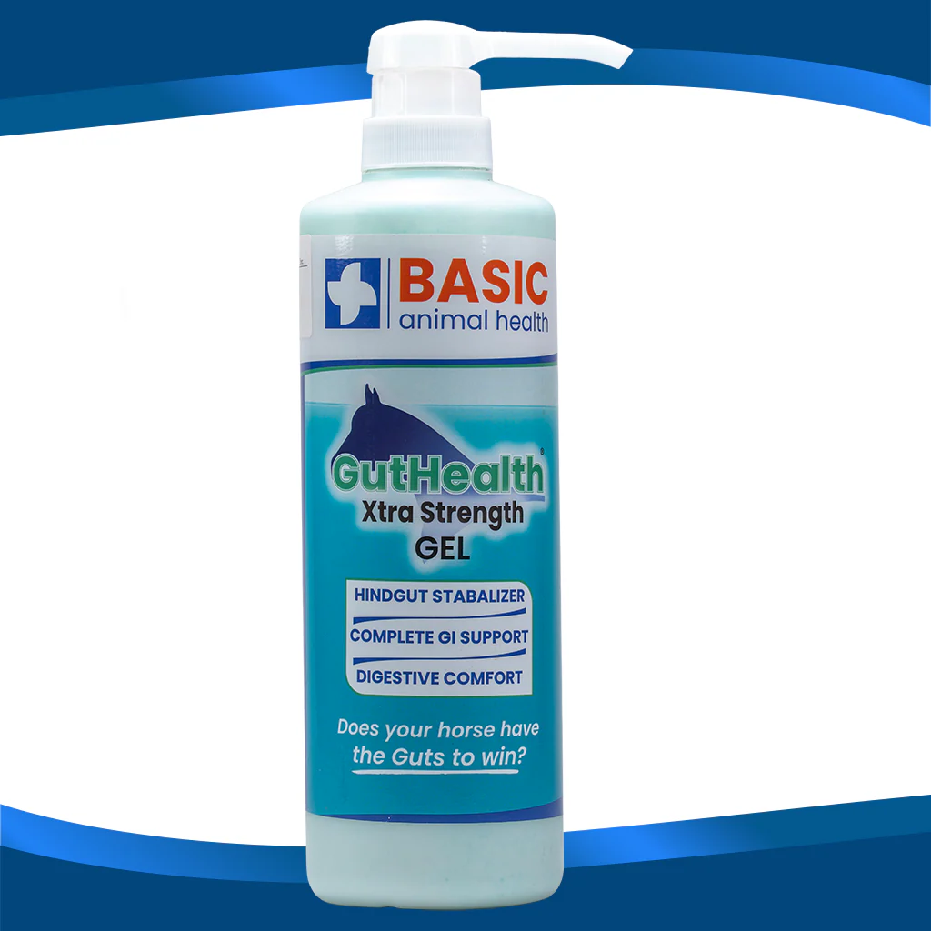 GutHealth Xtra Strength Gel for Horses - Bottles