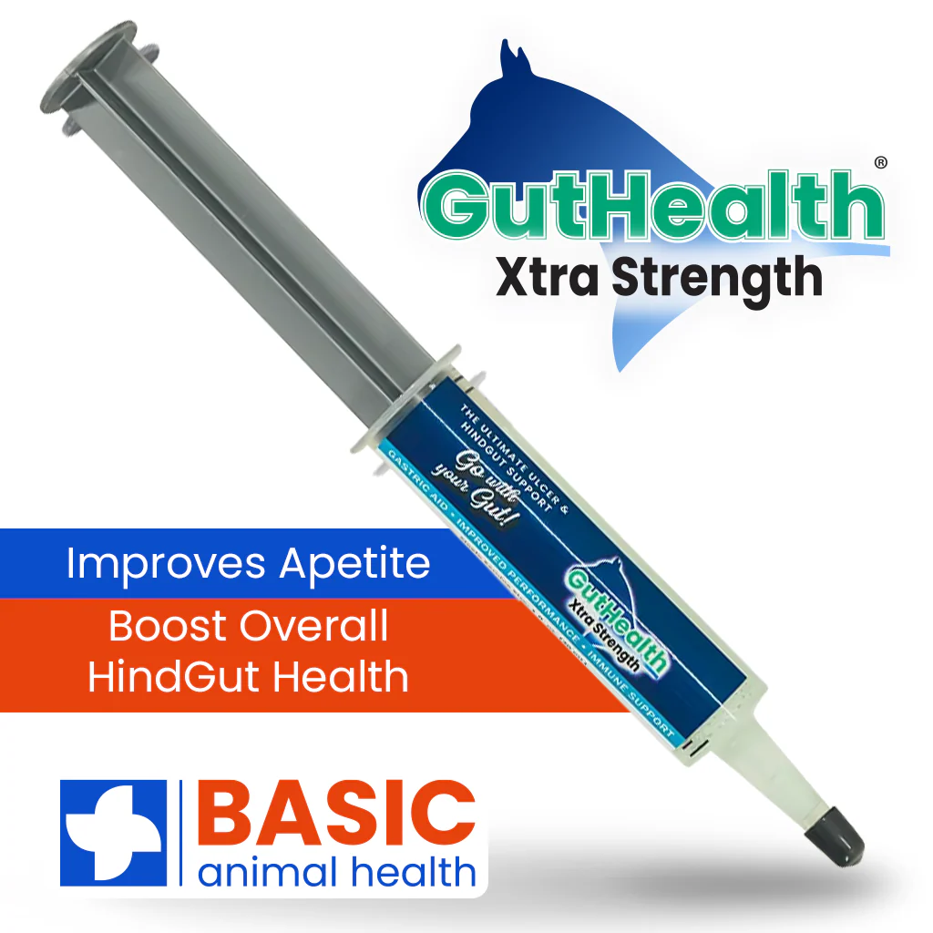GutHealth Xtra Strength Gel Supplement for Horses