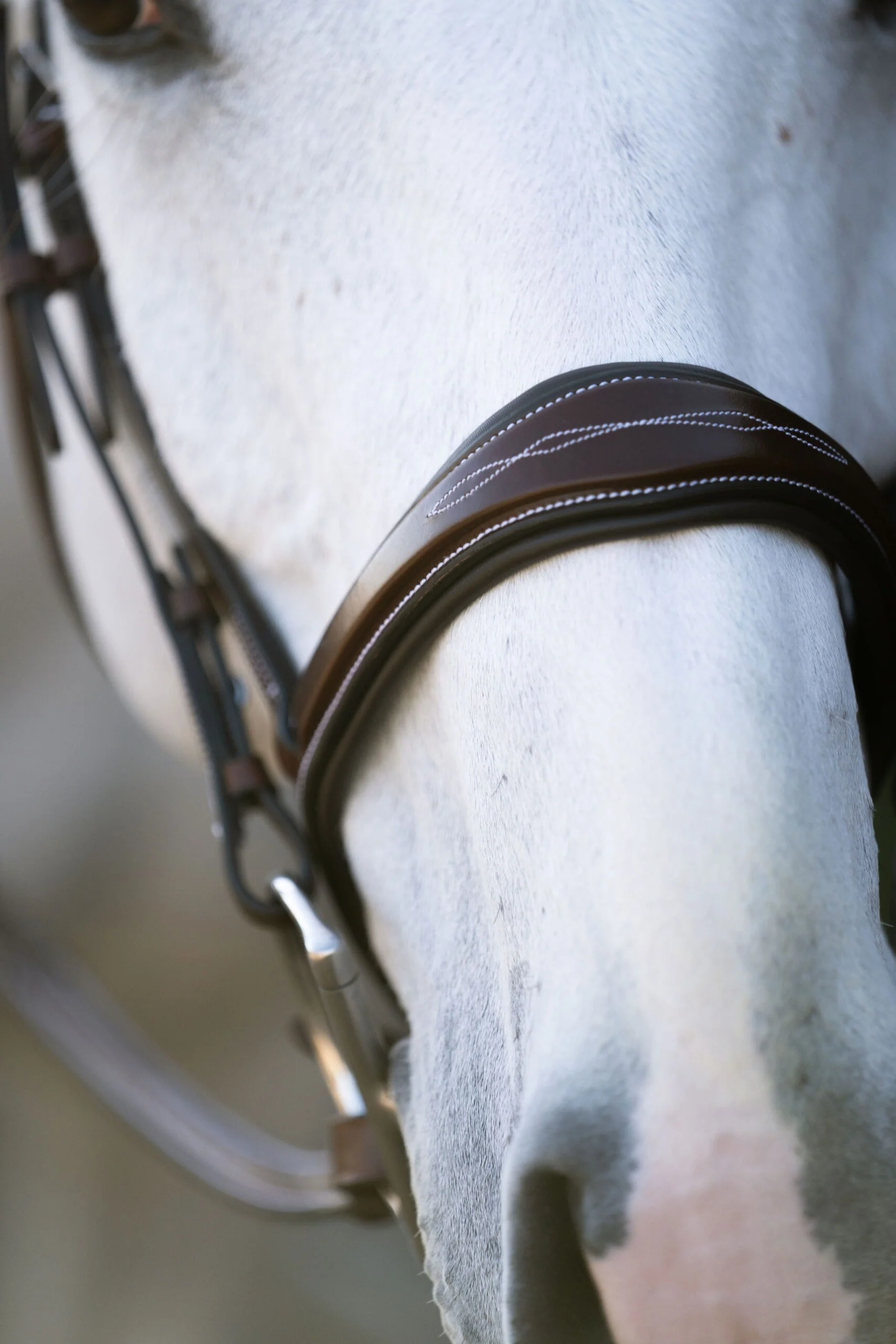 Hampton Tapered Padded Hunter Bridle - Image 3