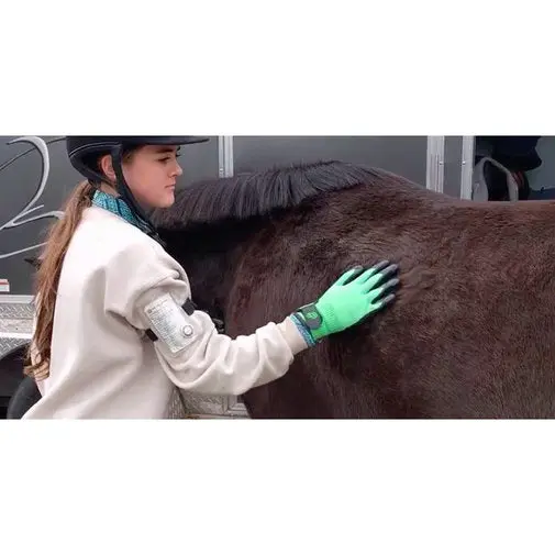 HandsOn® Grooming Gloves - Image 2