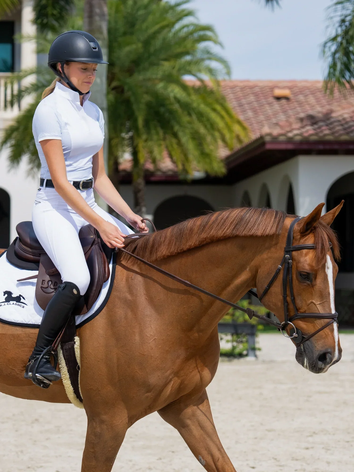 Hayden Front Zip Breech - Image 6
