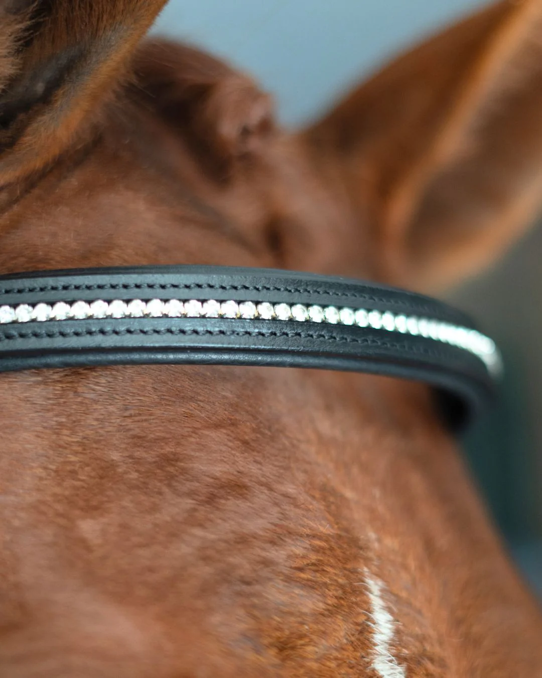 Hidden Flash!  Pro-Fit Comfortable Bridle - Image 8