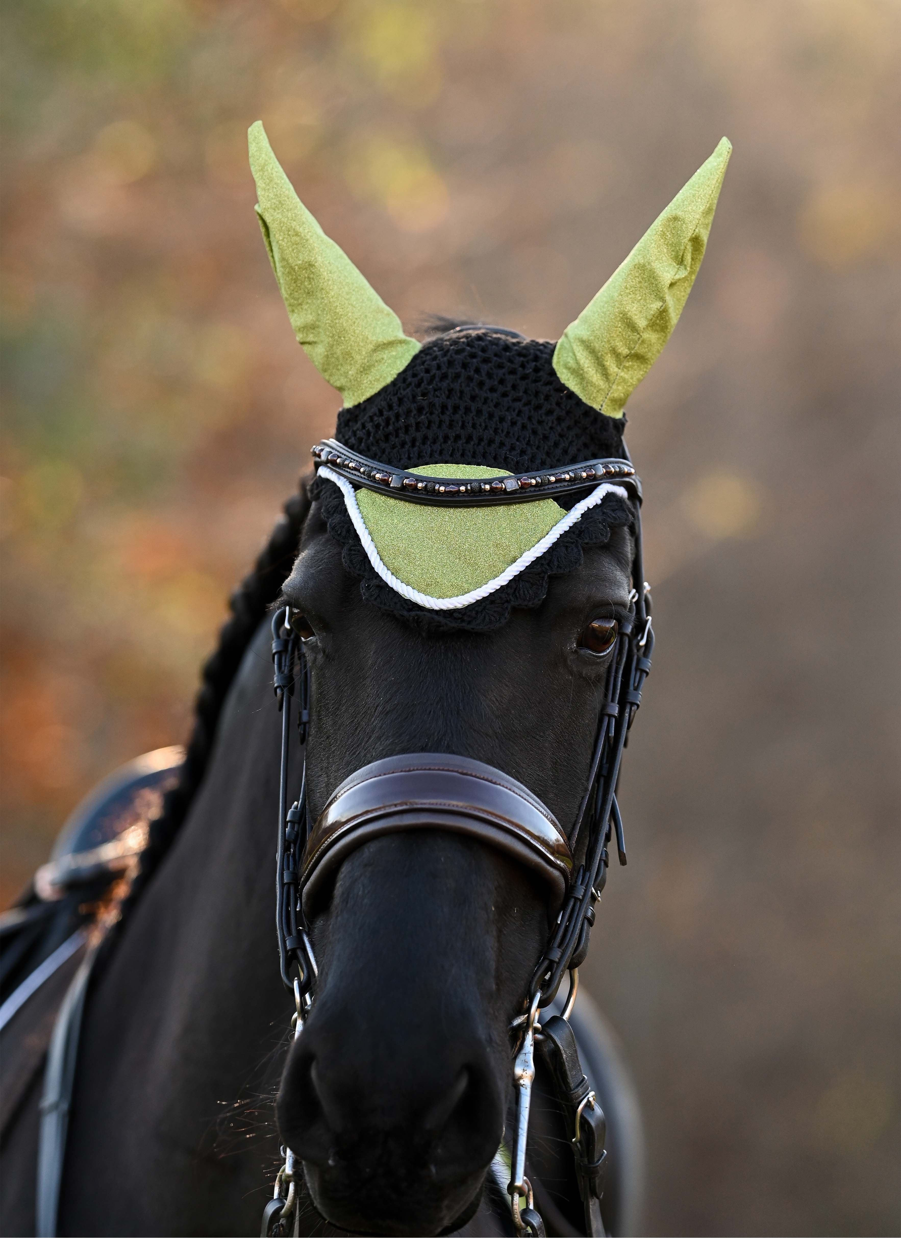 Lemongrass Saddle Pad Set - Image 4