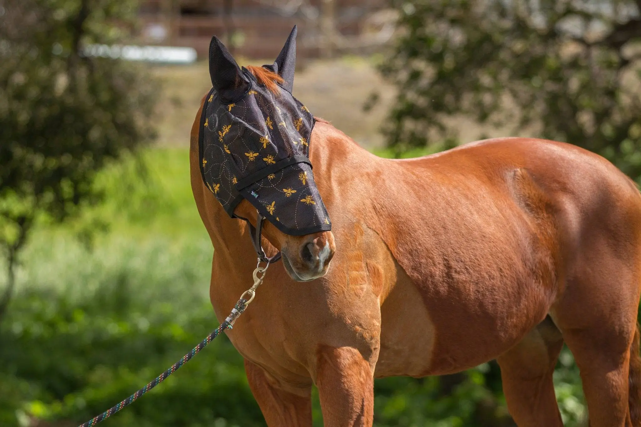 Mackey Bee Mine Fly Mask With Ears And Detachable Nose - Image 3