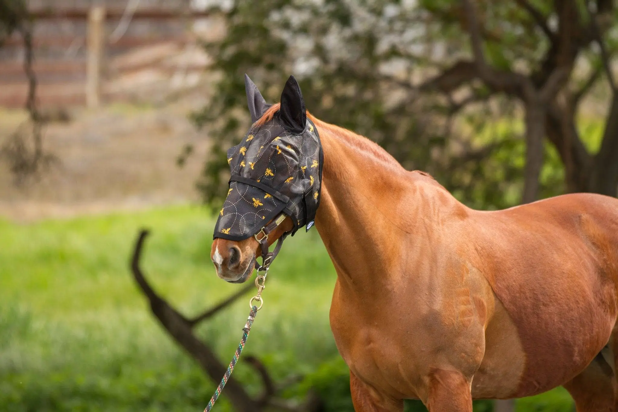Mackey Bee Mine Fly Mask With Ears And Detachable Nose - Image 4