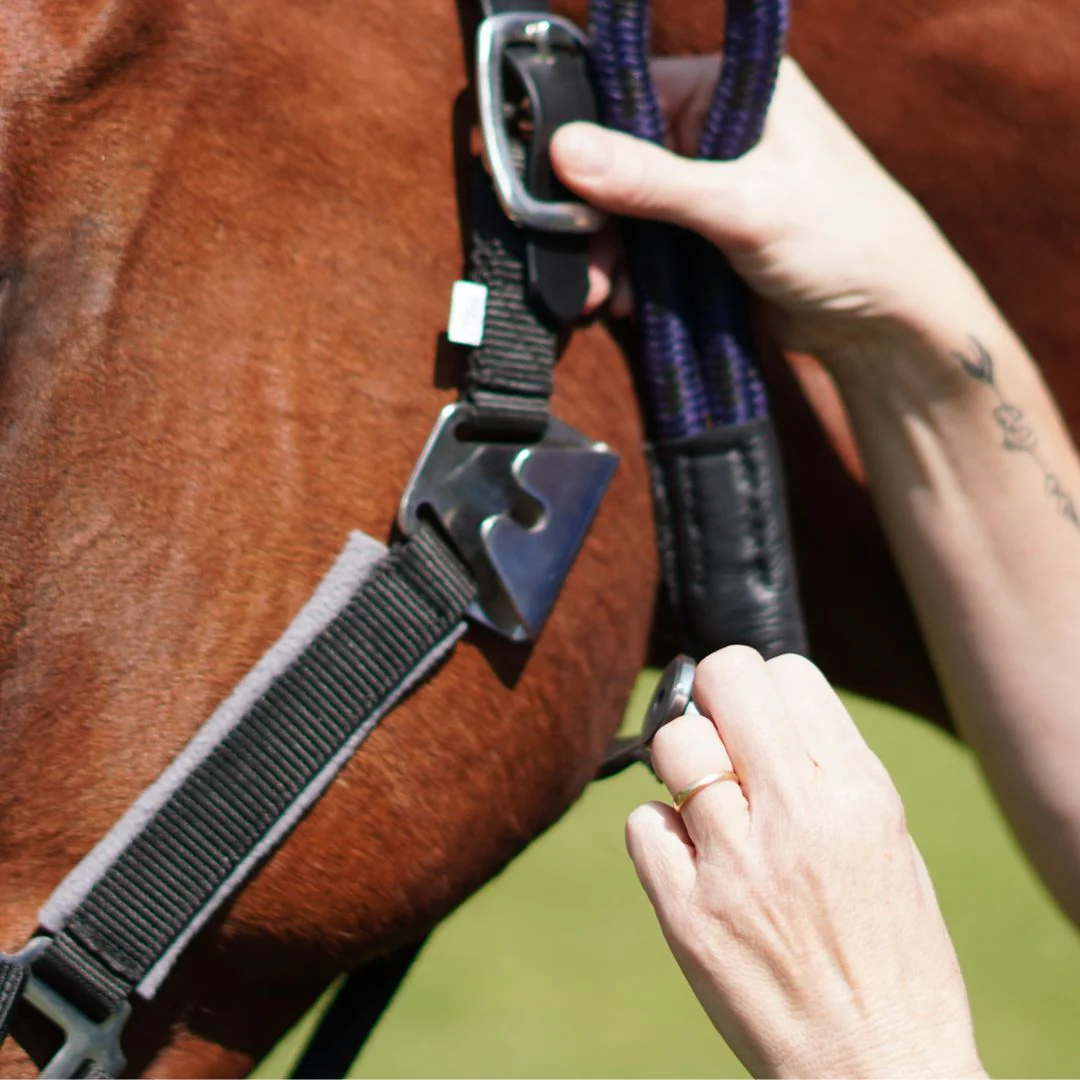 Magna Leather Breakaway Halter ™ in Black with Fleece Noseband - Image 2