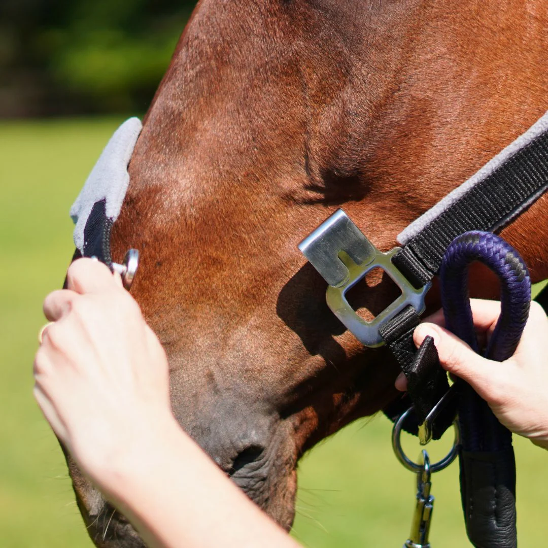 Magna Leather Breakaway Halter ™ in Black with Fleece Noseband - Image 4