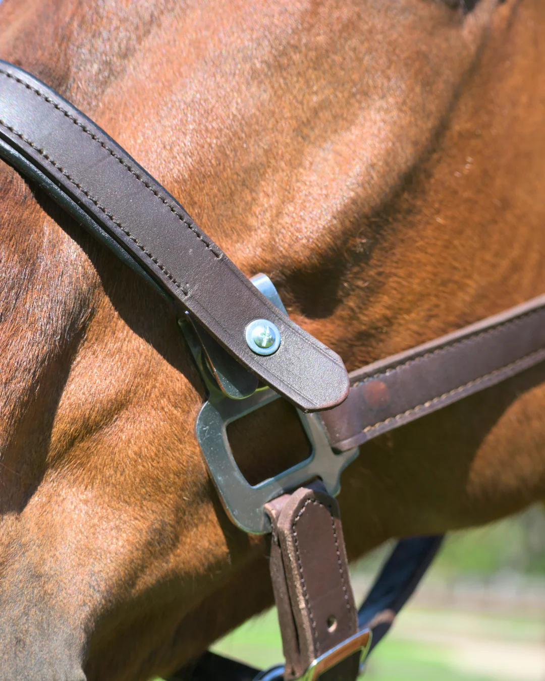 Magna Leather Breakaway Halter ™ in Black with Fleece Noseband - Image 8