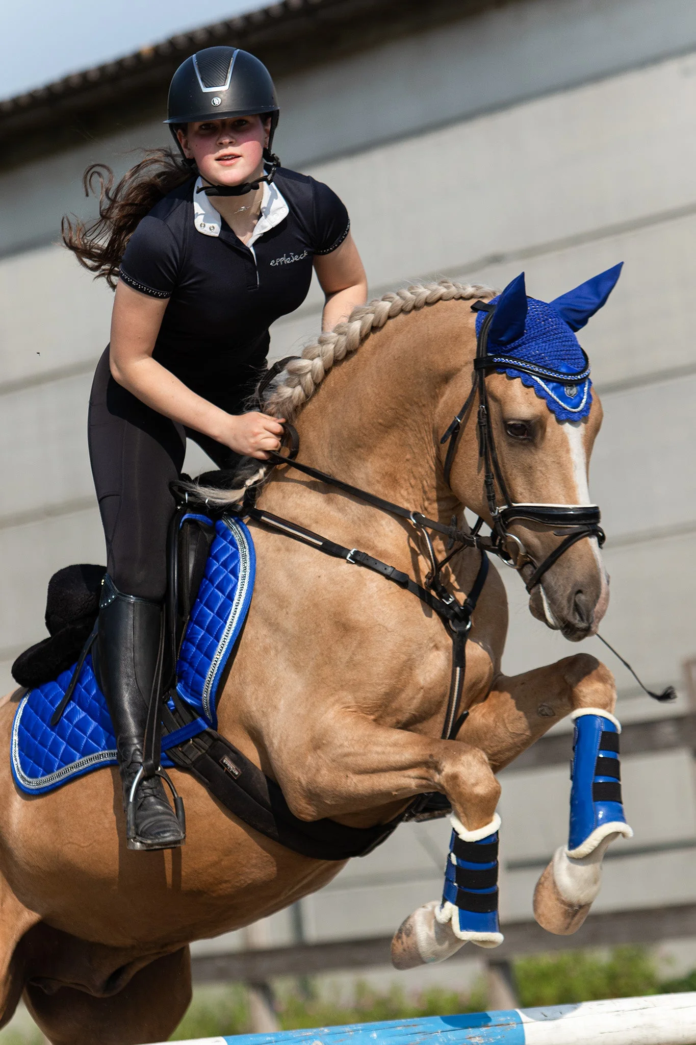 Majorelle Blue Saddle Pad - Image 5