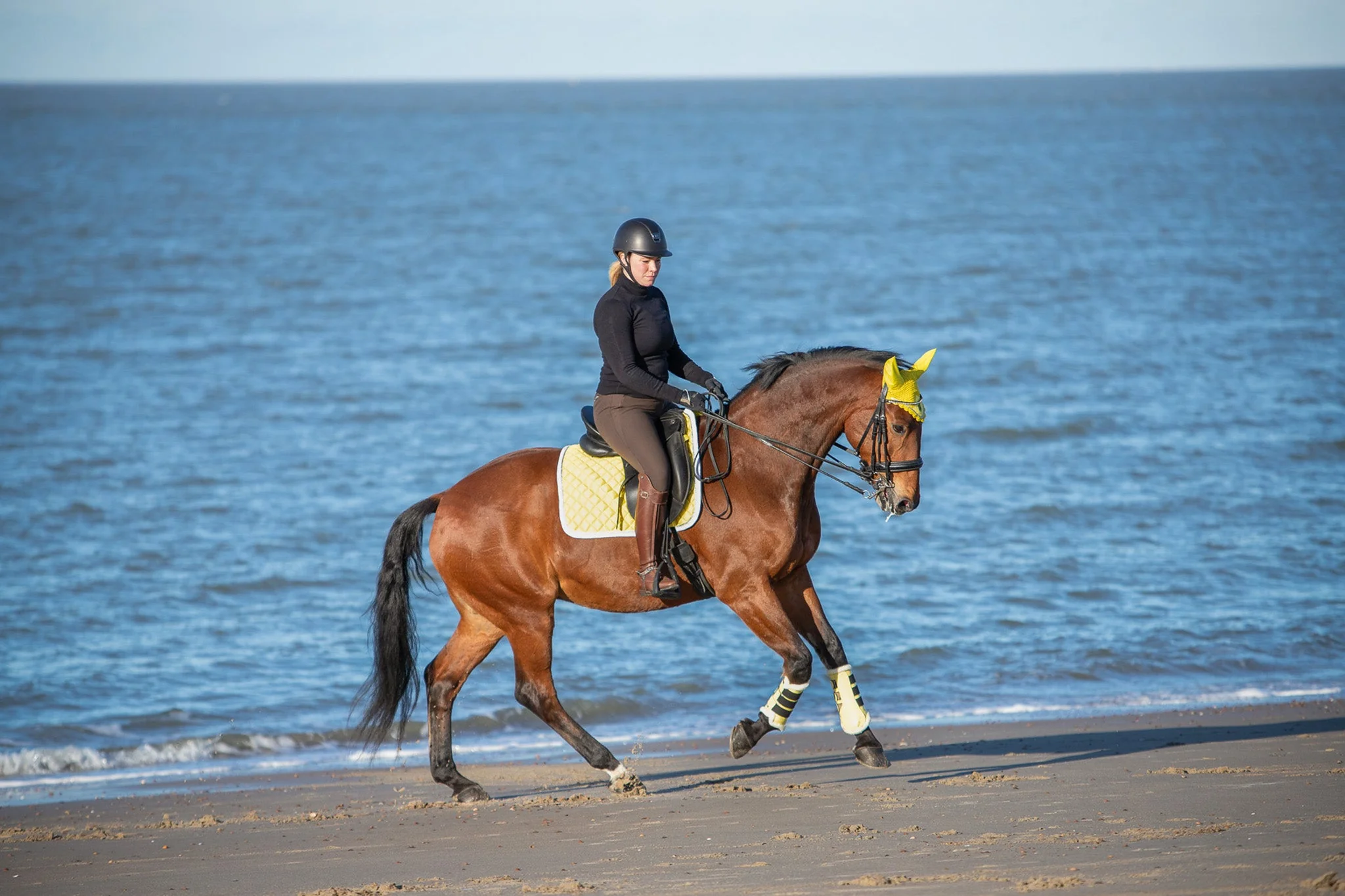 Mimosa Saddle Pad Set - Image 7