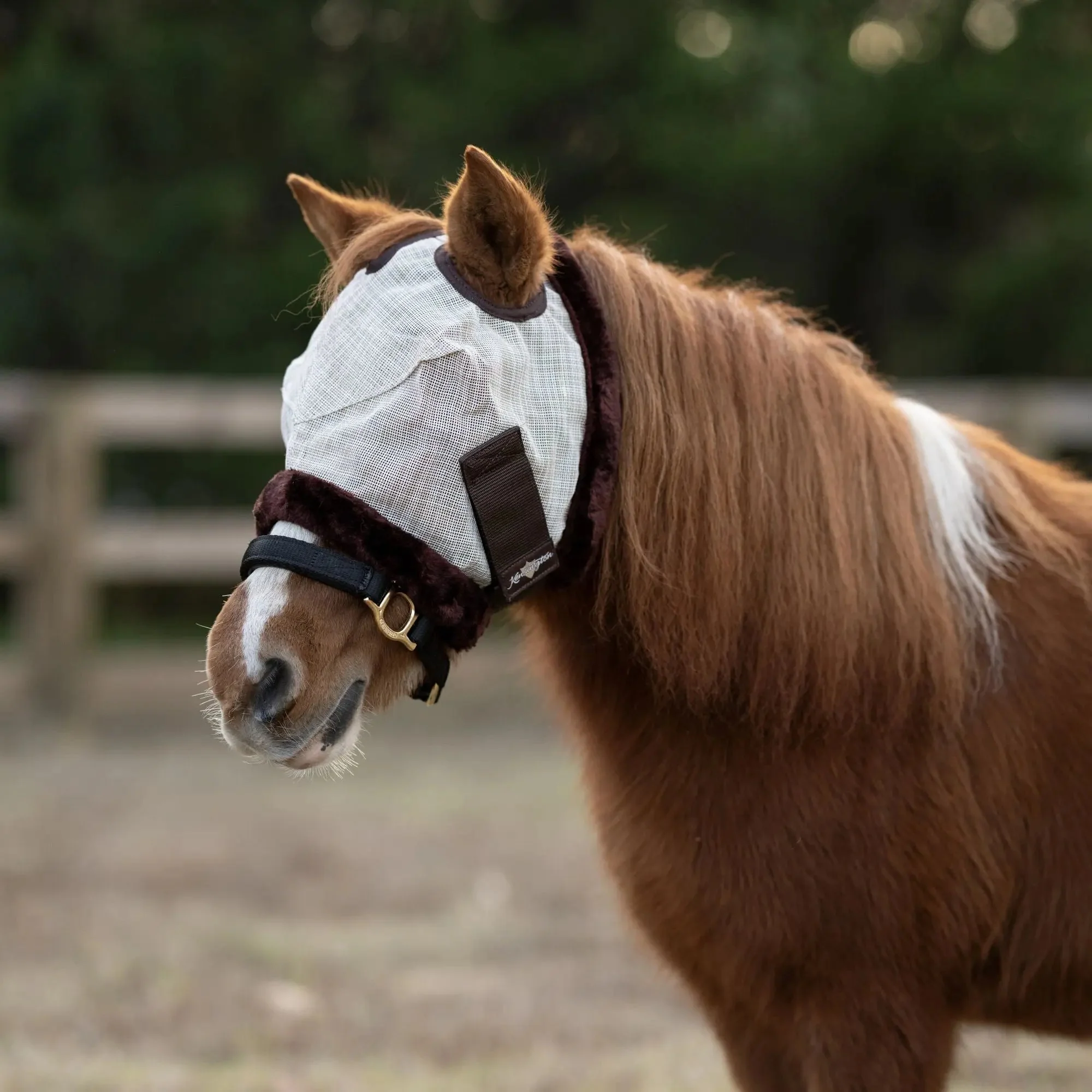 Mini/Pony Fly Mask with Fleece Trim & Dual Ear Openings - 73% UV Blocking - Image 7