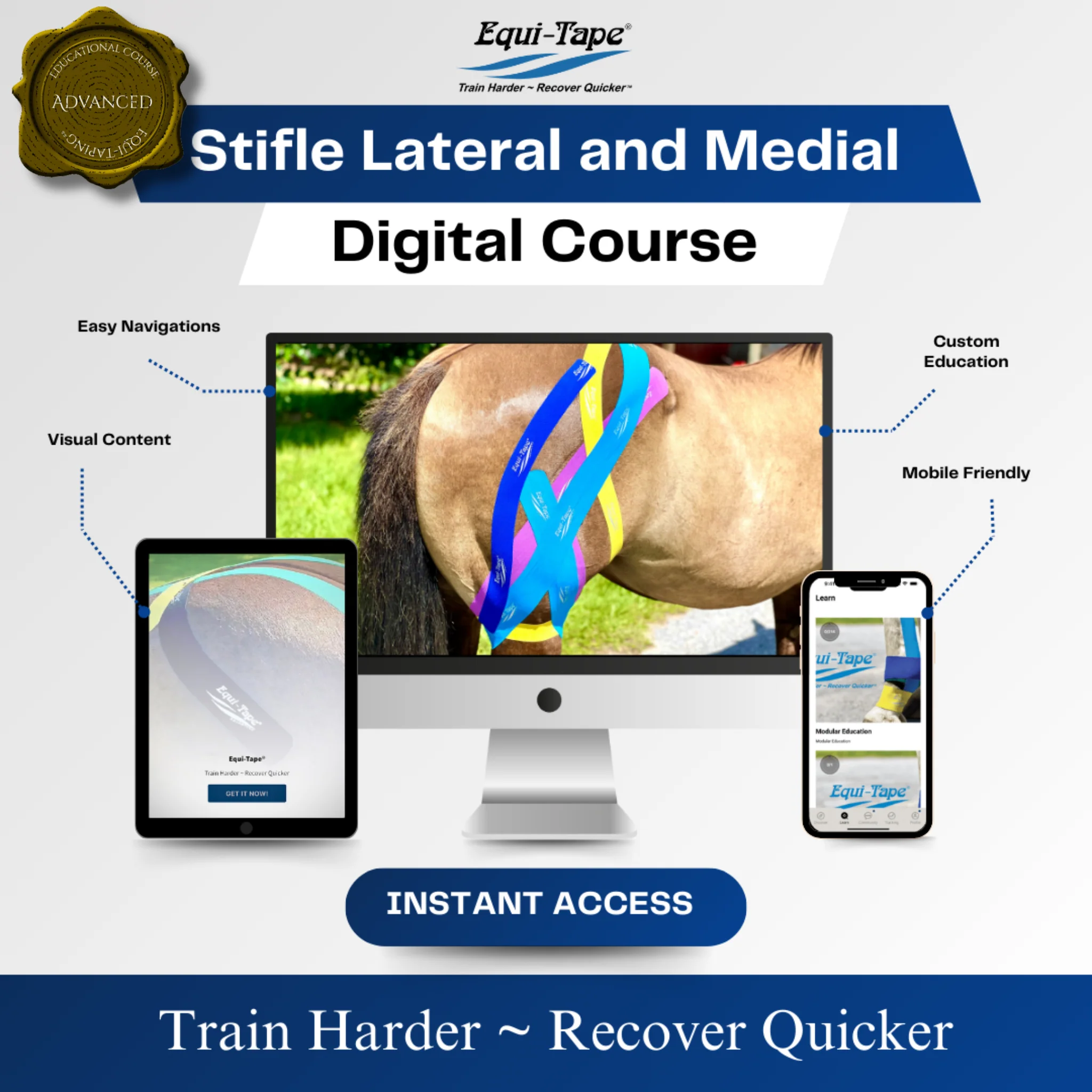 Module: The Stifle - Image 6