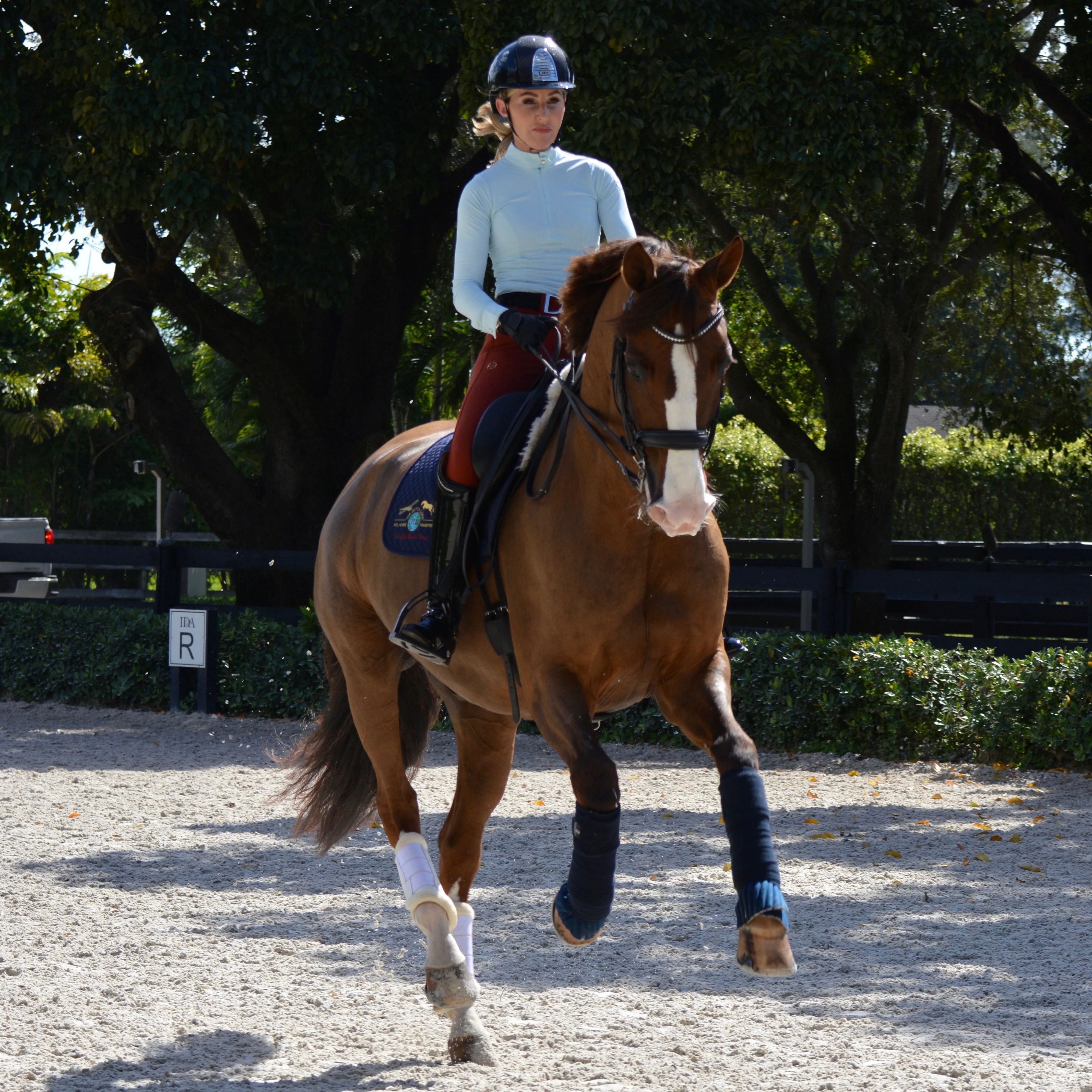 Nadia Long Sleeve Riding Shirt - Image 16