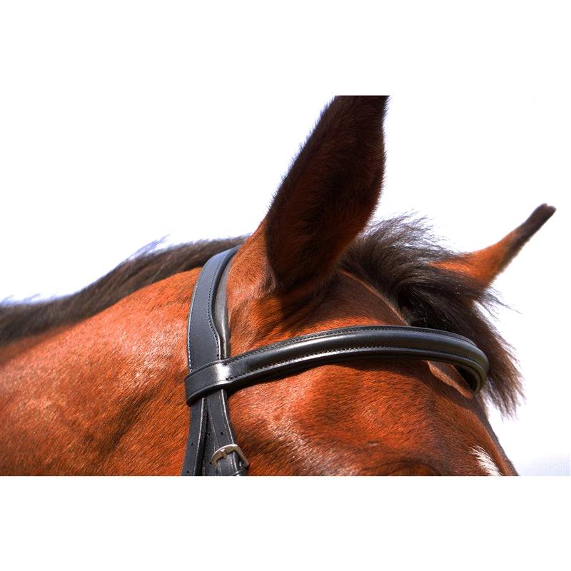 Nunn Finer Aformadi Flash Bridle - Image 4