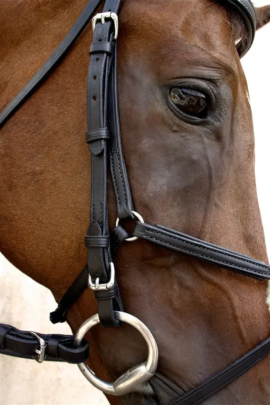 Nunn Finer Fair Hill Figure 8 Bridle - Image 4