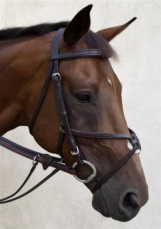 Nunn Finer Fair Hill Figure 8 Bridle - Image 7