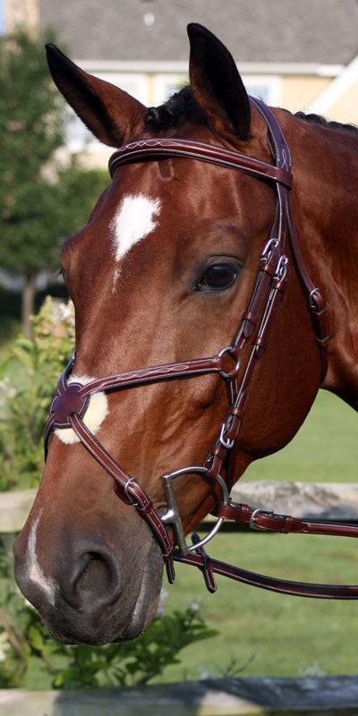 Nunn Finer Milano Figure 8 Bridle