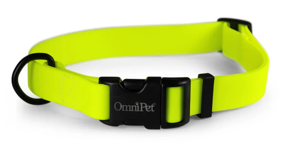 OmniPet Carnival Waterproof Dog Collar - Image 3