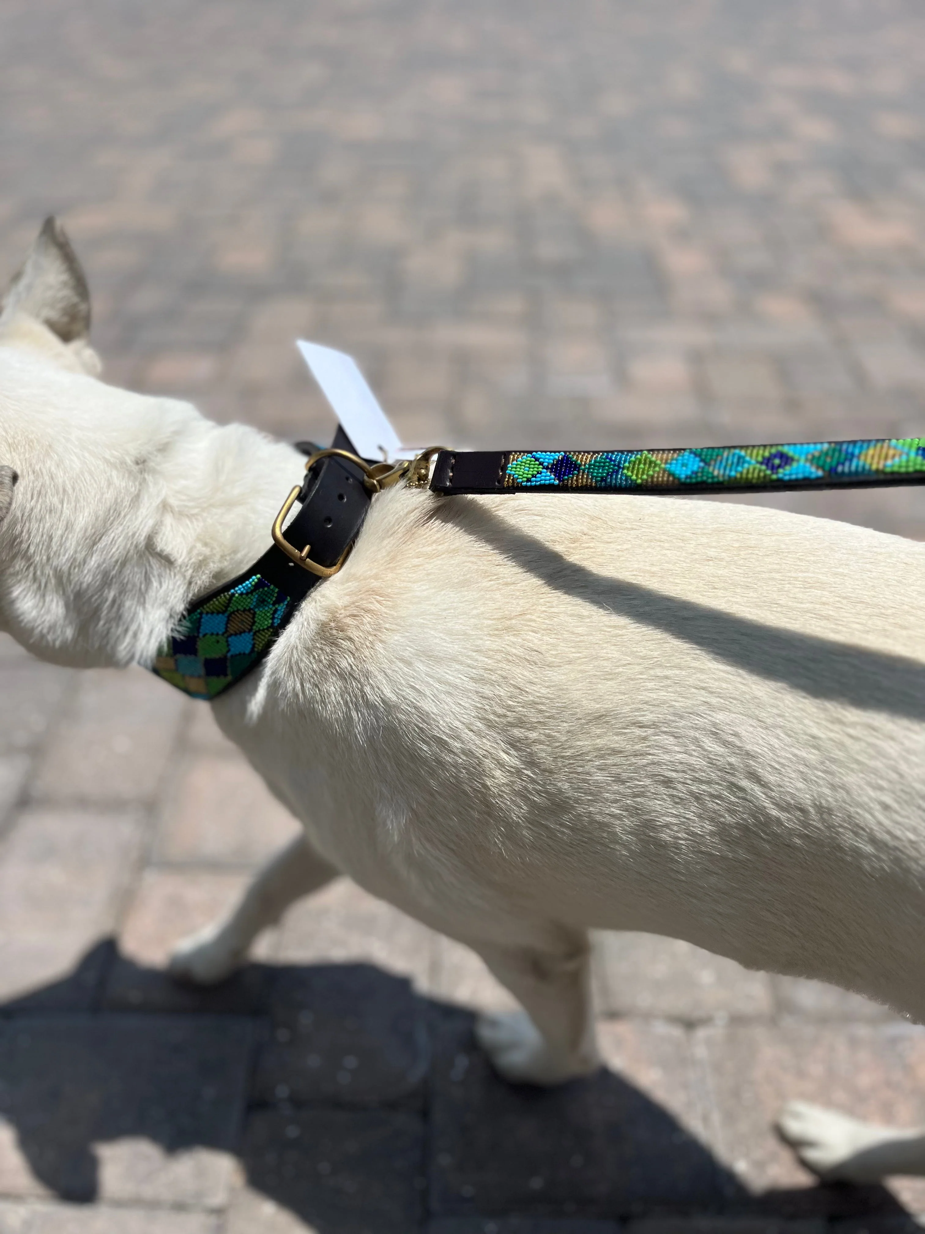 Peacock Argyle Beaded Dog Collar - Image 3
