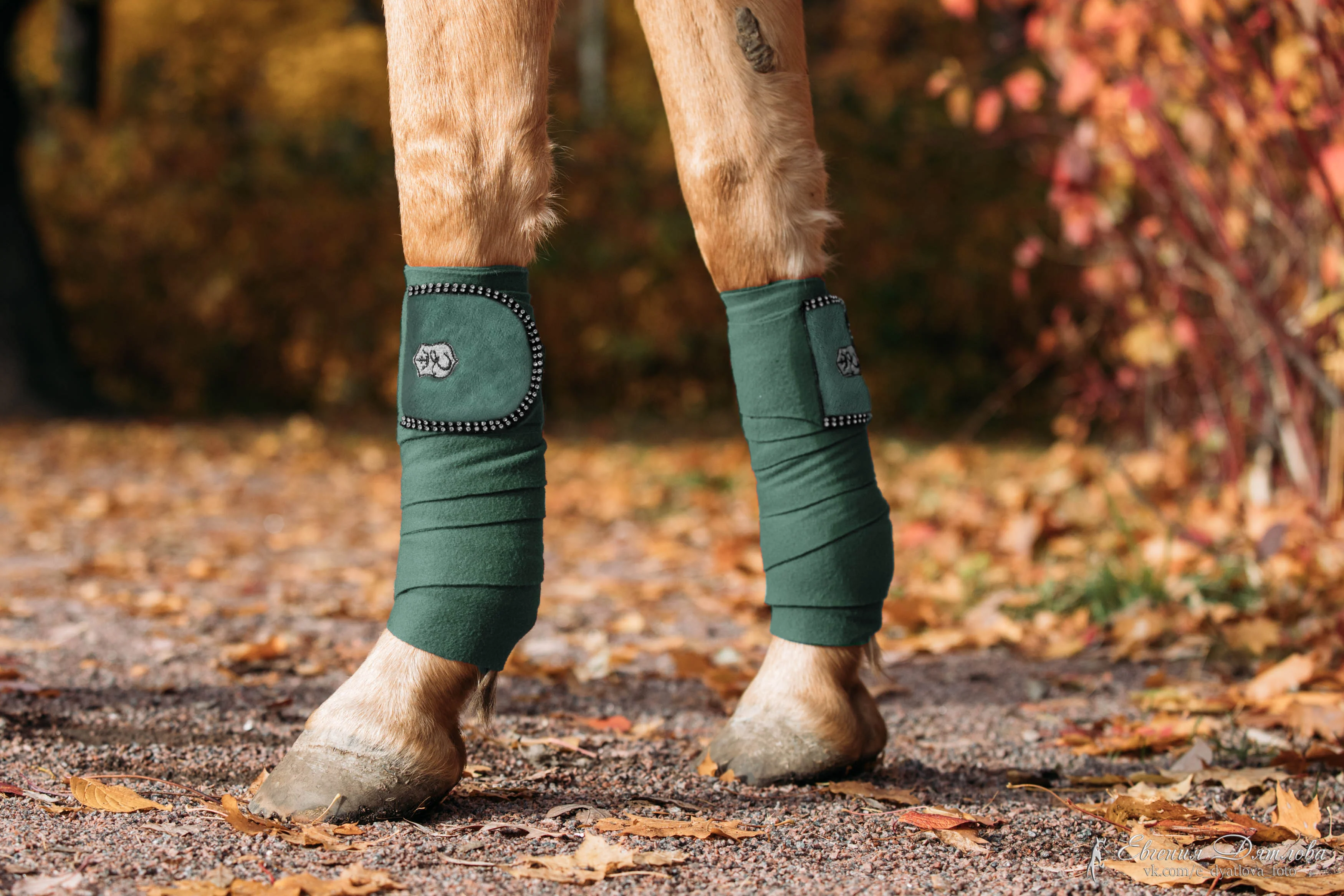 Pine Grove Polo Wraps - Image 2