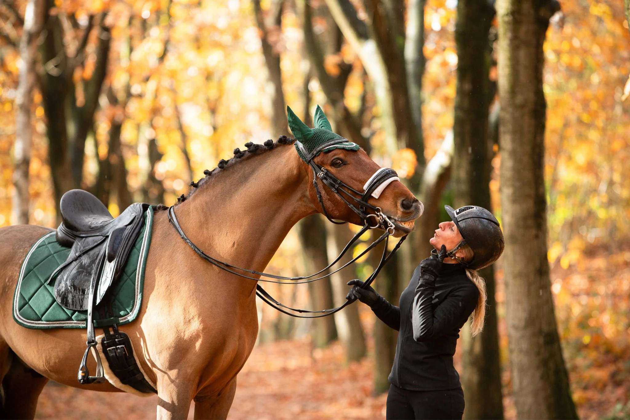 Pine Grove Saddle Pad - Image 4