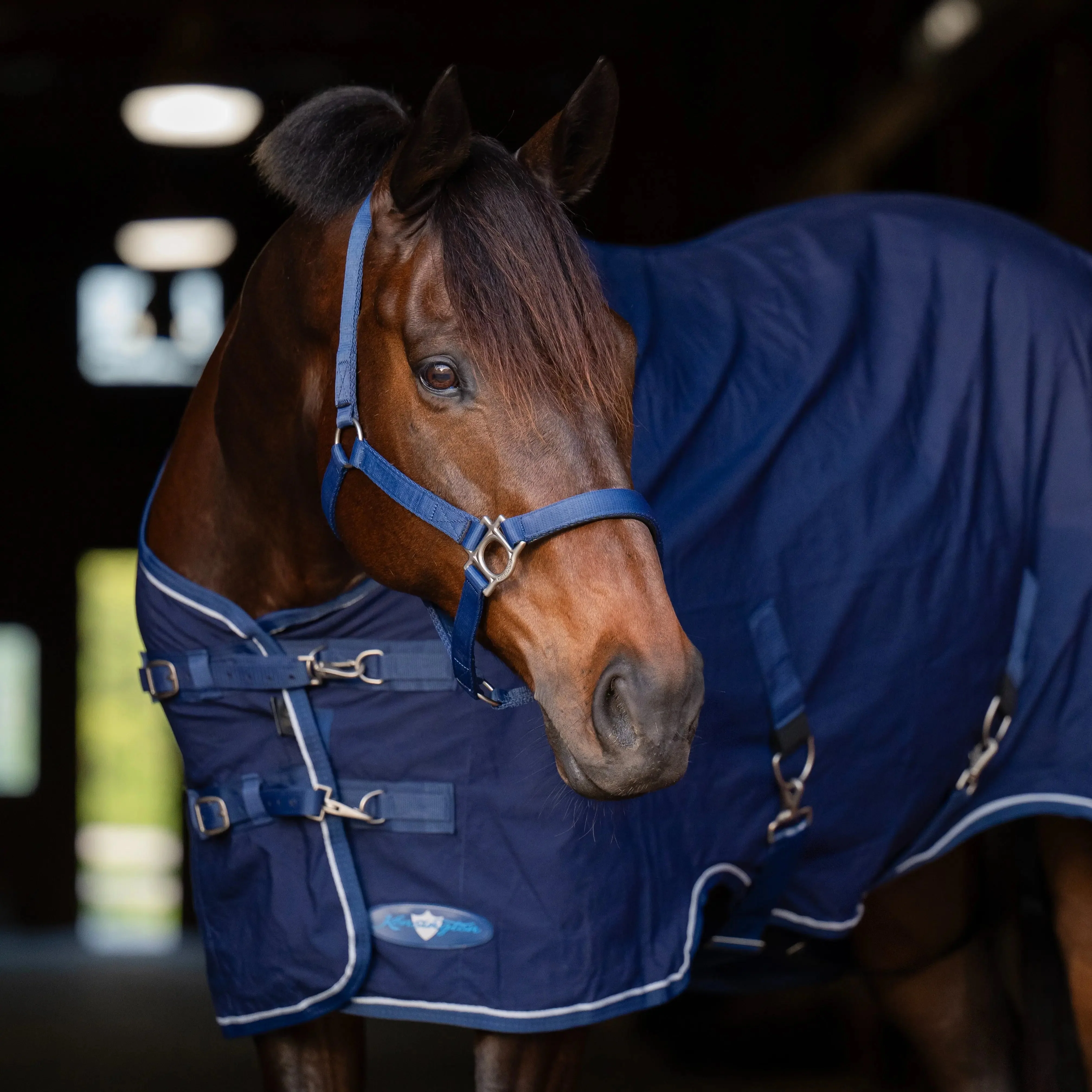 Poly Cotton Stable Sheet - Image 4