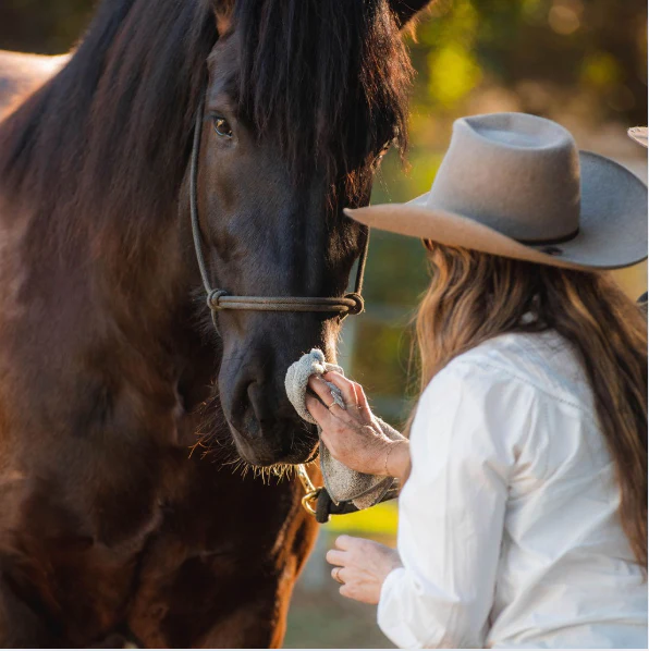 Pony Grooming Trio - Image 6