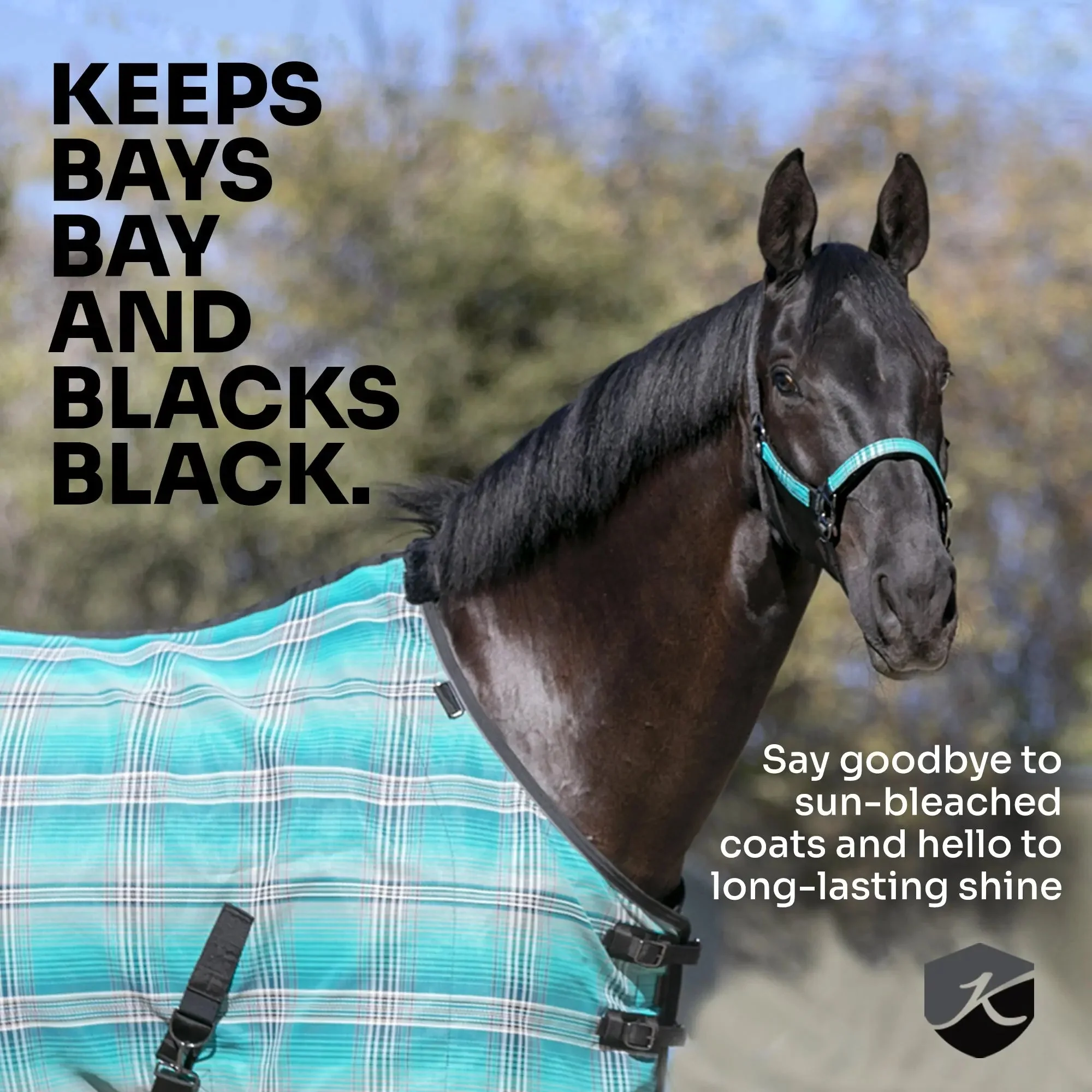 Pony Protective Fly Sheet with SureFit® - 73% UV Blocking - Image 8