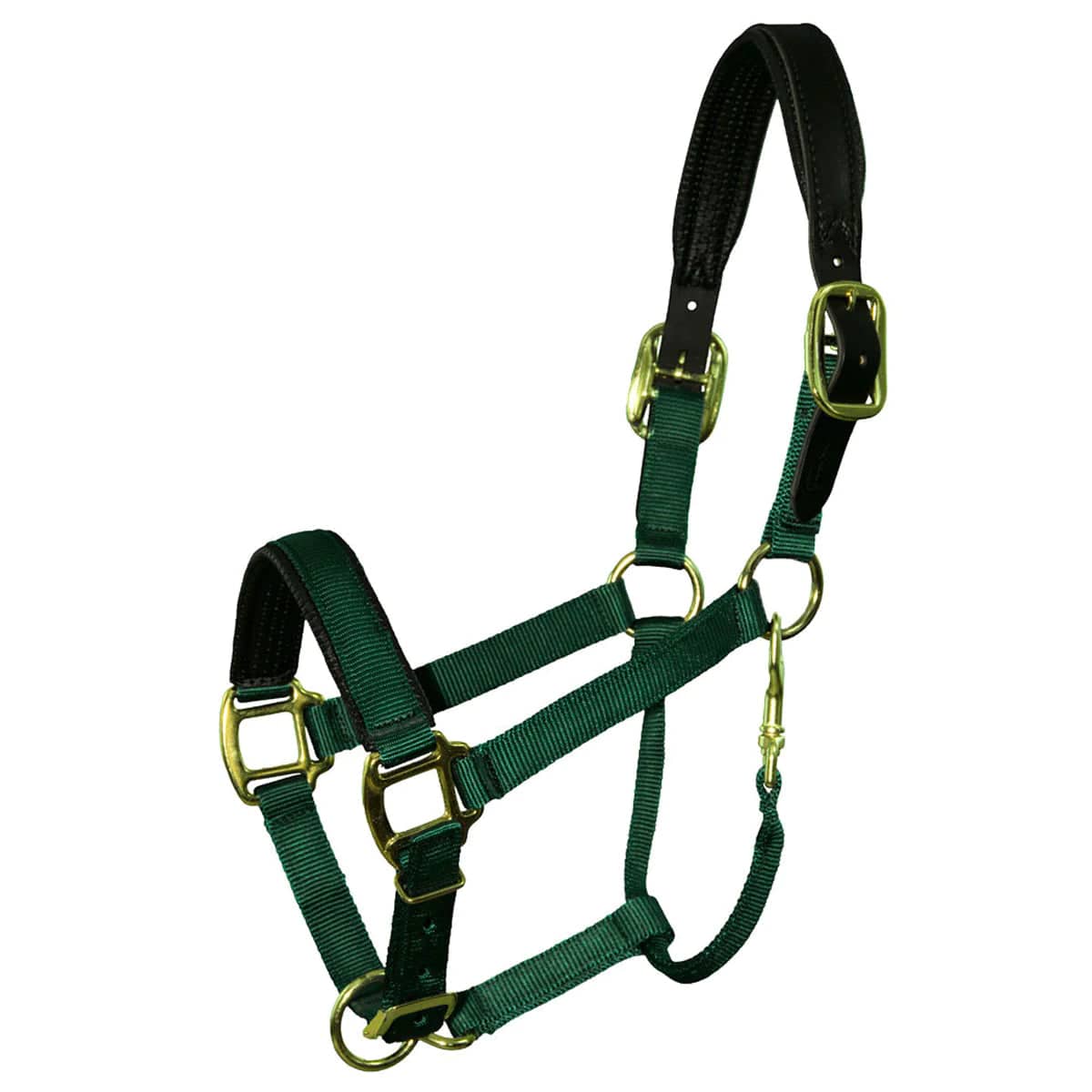 QHP Premium Nylon Padded Breakaway Mini Halter - Image 2