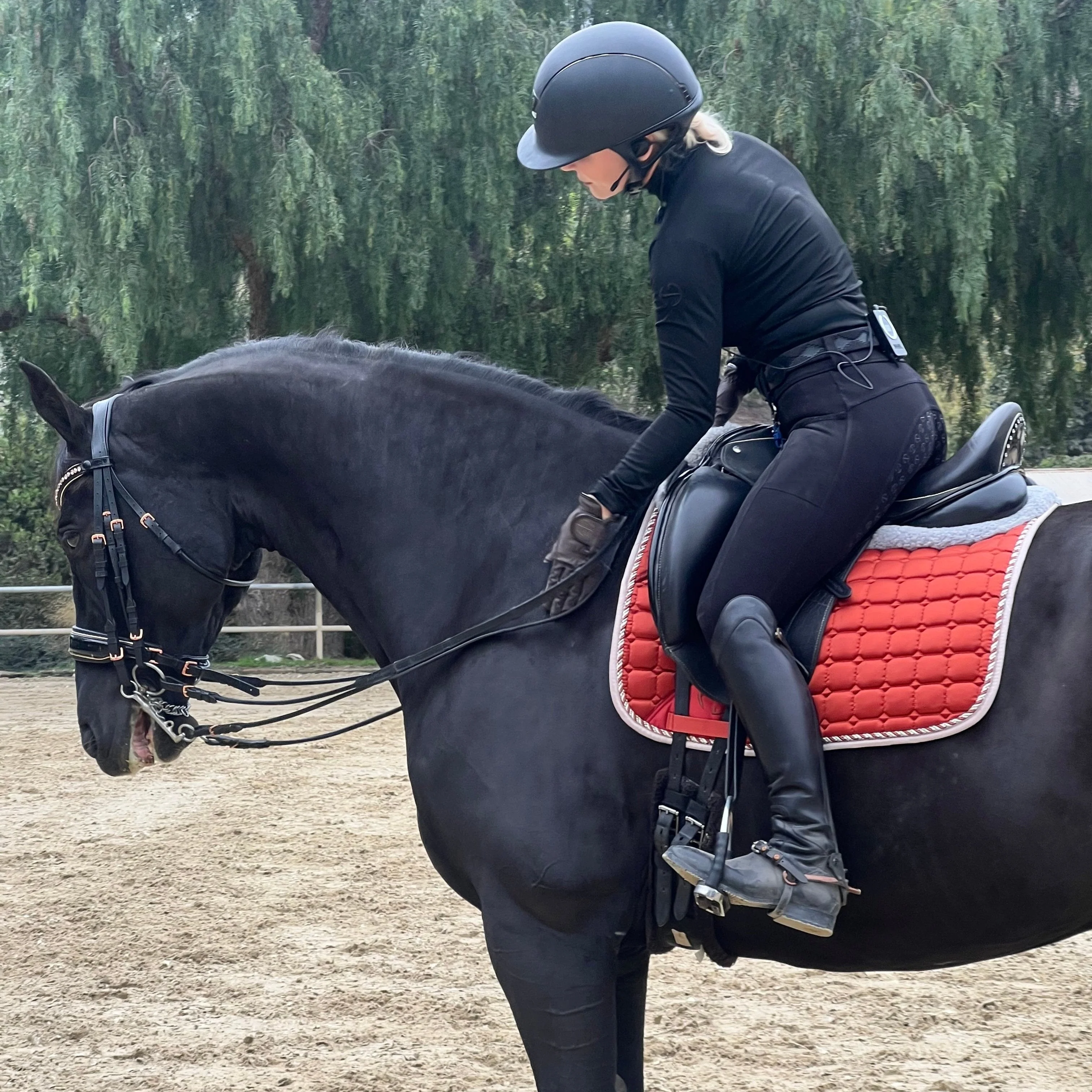 Satin Classic Dressage Saddle Pad - Rust - Image 7