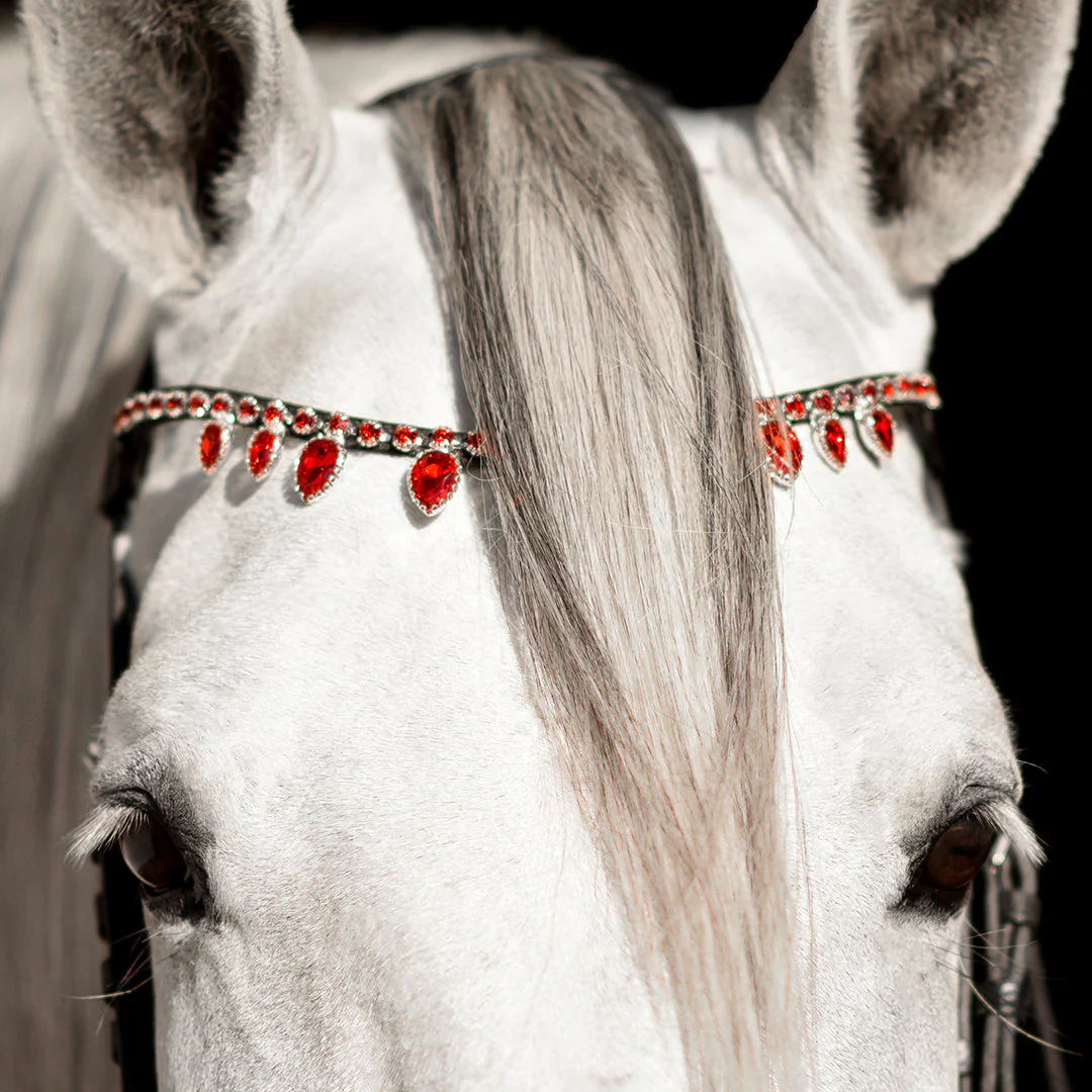 Scarlet Red Browband - Image 4