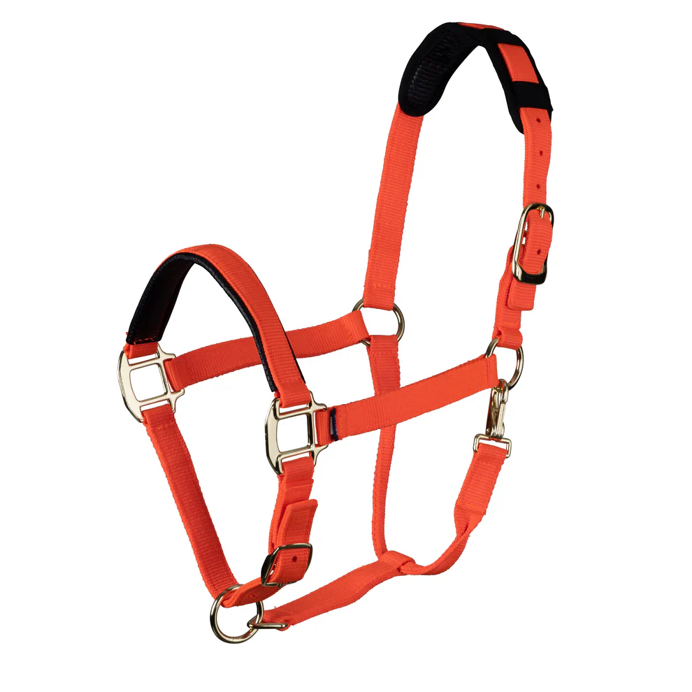 Shires Topaz Comfort Breakaway Halter - Image 6