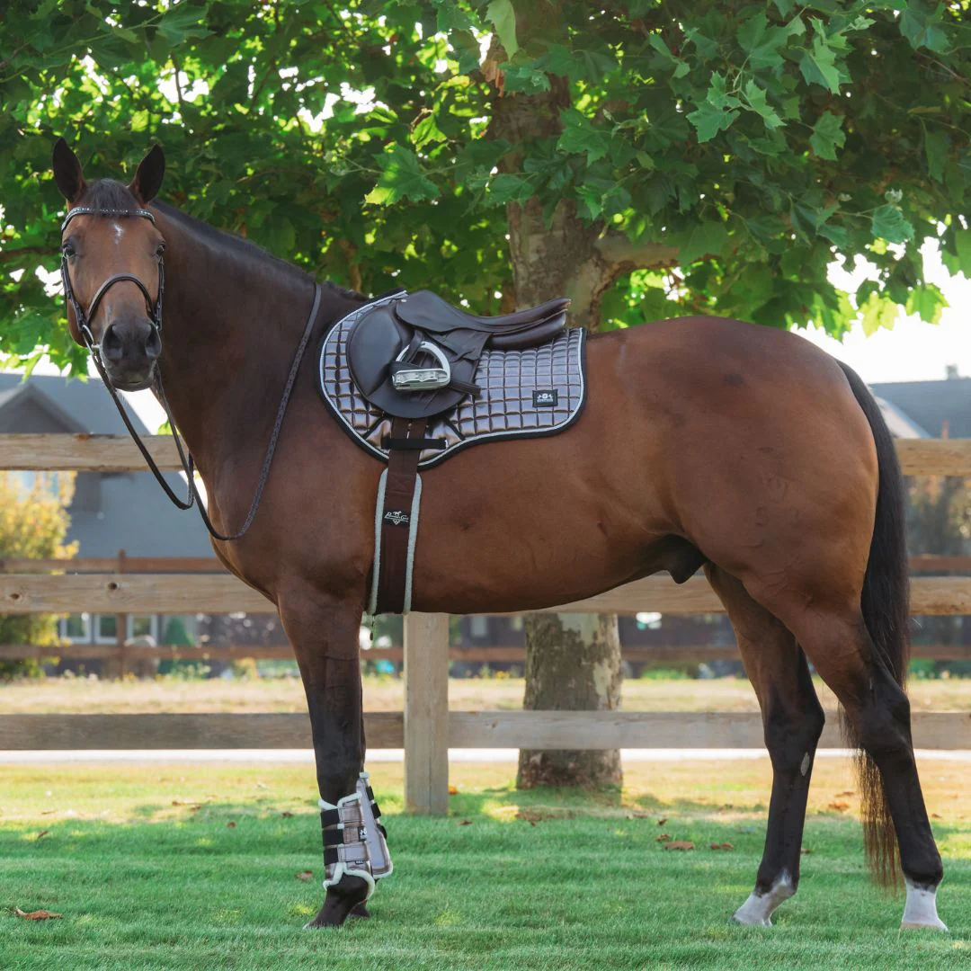 Spaceship Grey Saddle Pad - Image 10