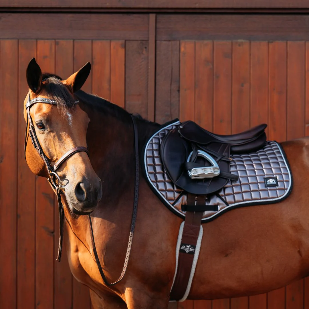 Spaceship Grey Saddle Pad Set - Image 5