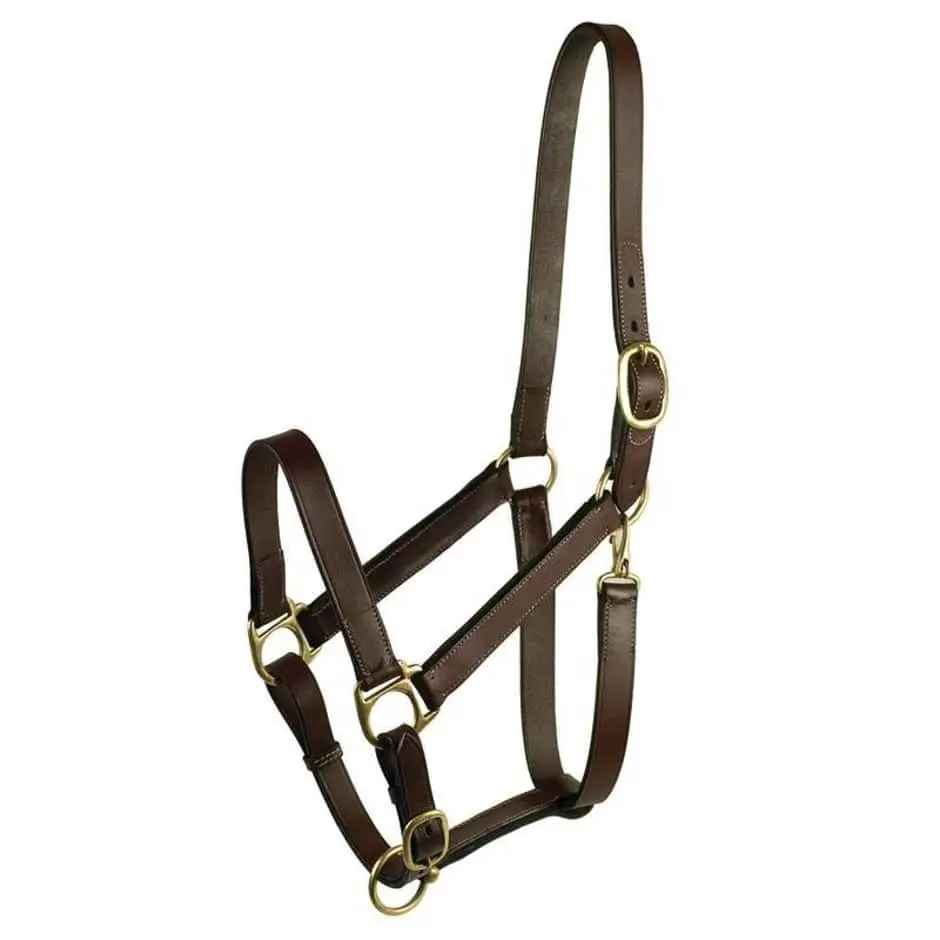 Stable Halter With Snap - Image 3