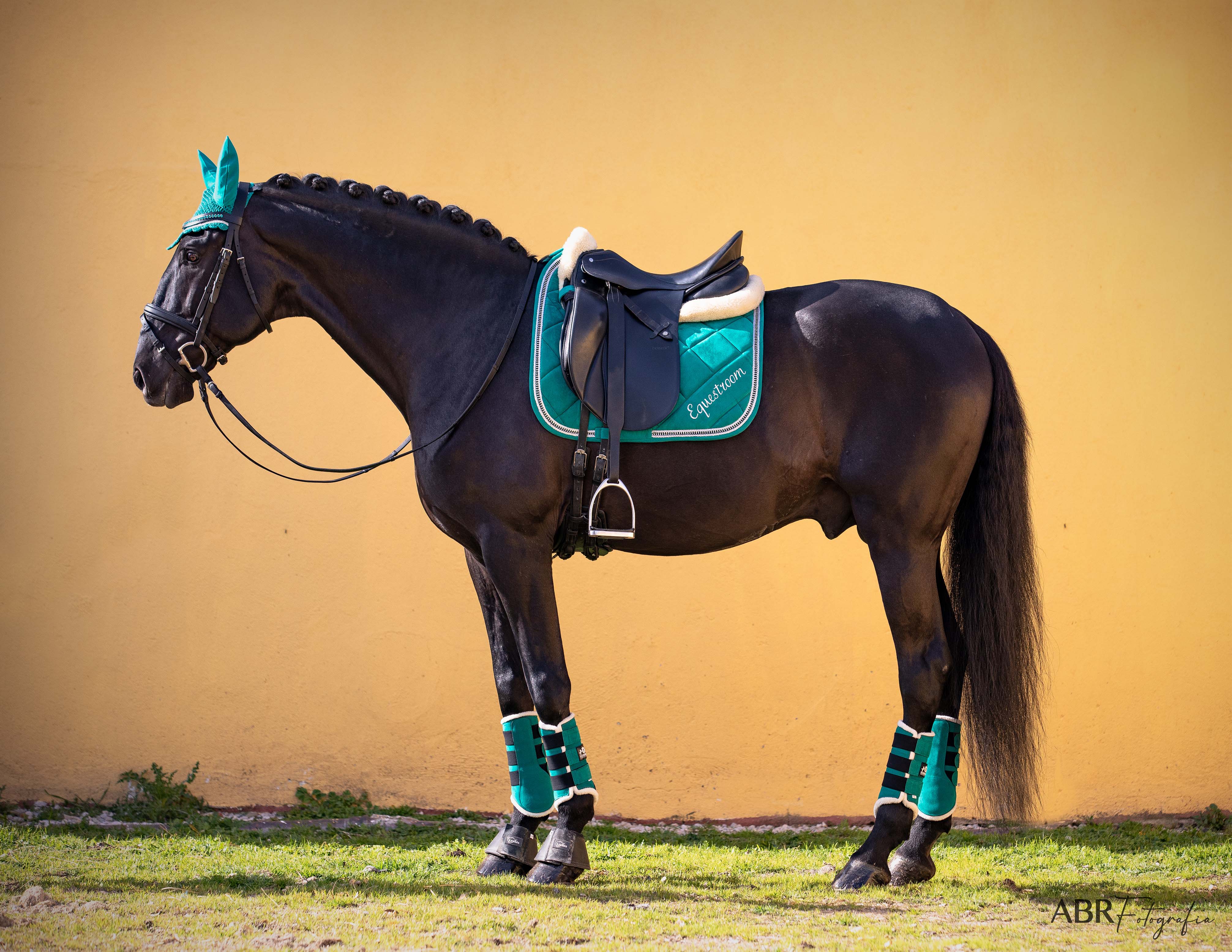 Teal Saddle Pad Set - Image 3