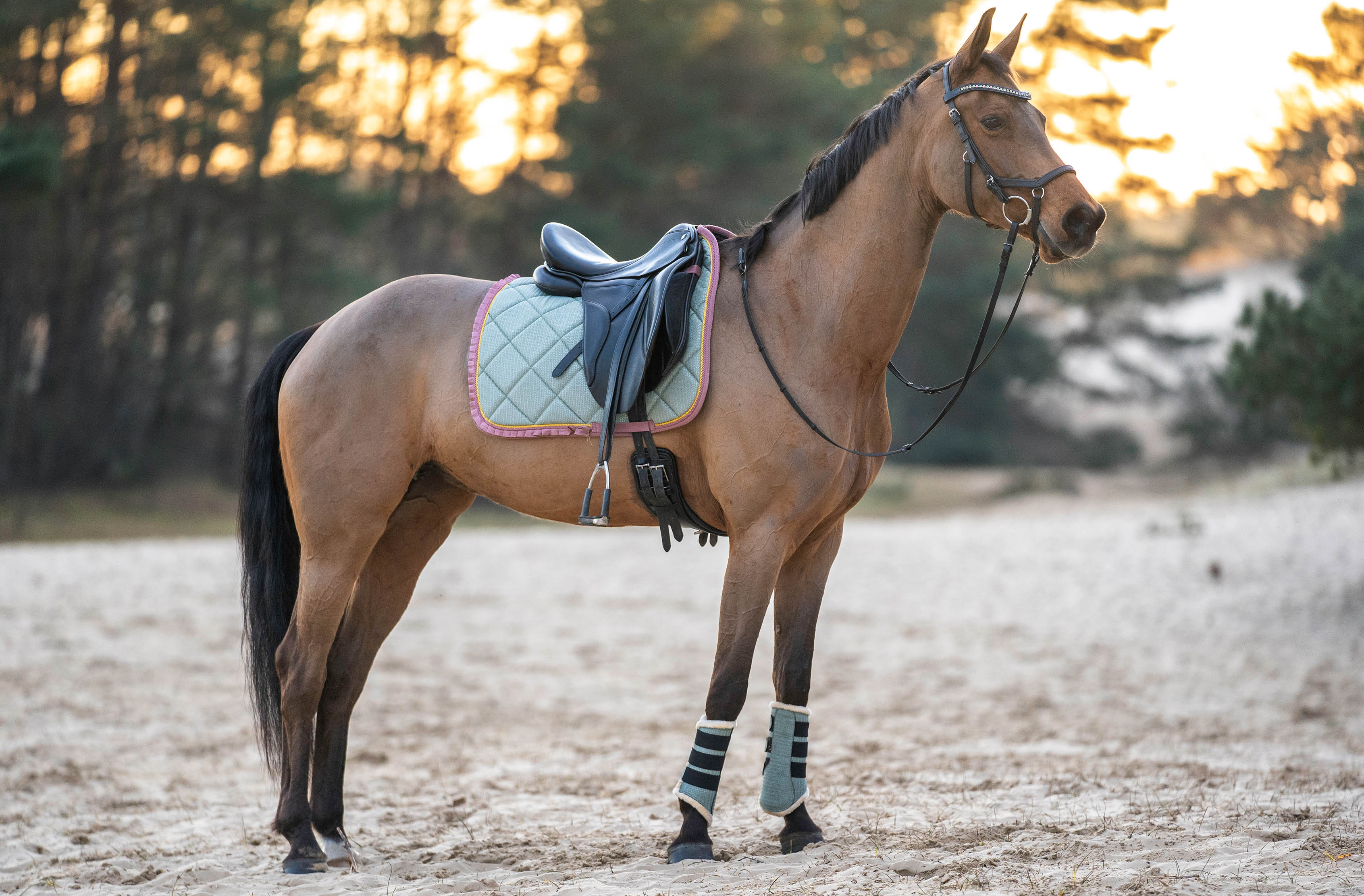 Teaparty Green Saddle Pad (Limited Edition) - Image 3