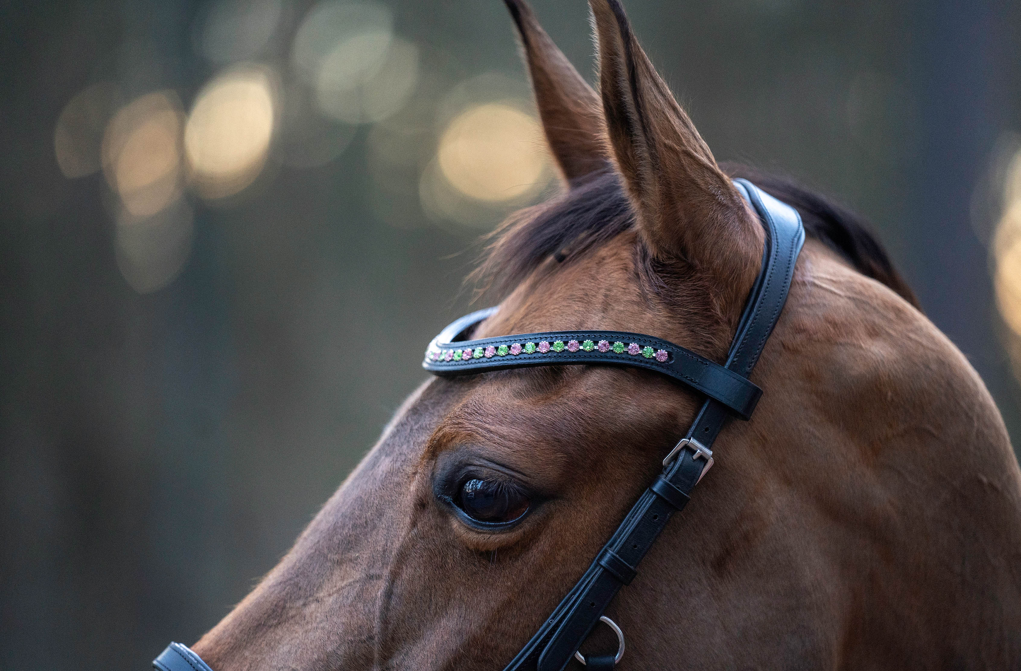 Teaparty Green Saddle Pad Set (Limited Edition) - Image 5