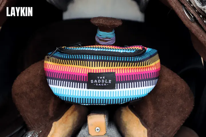 The Saddle Sack - Image 3