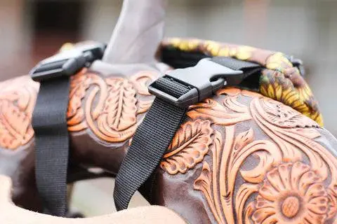 The Saddle Sack - Image 4