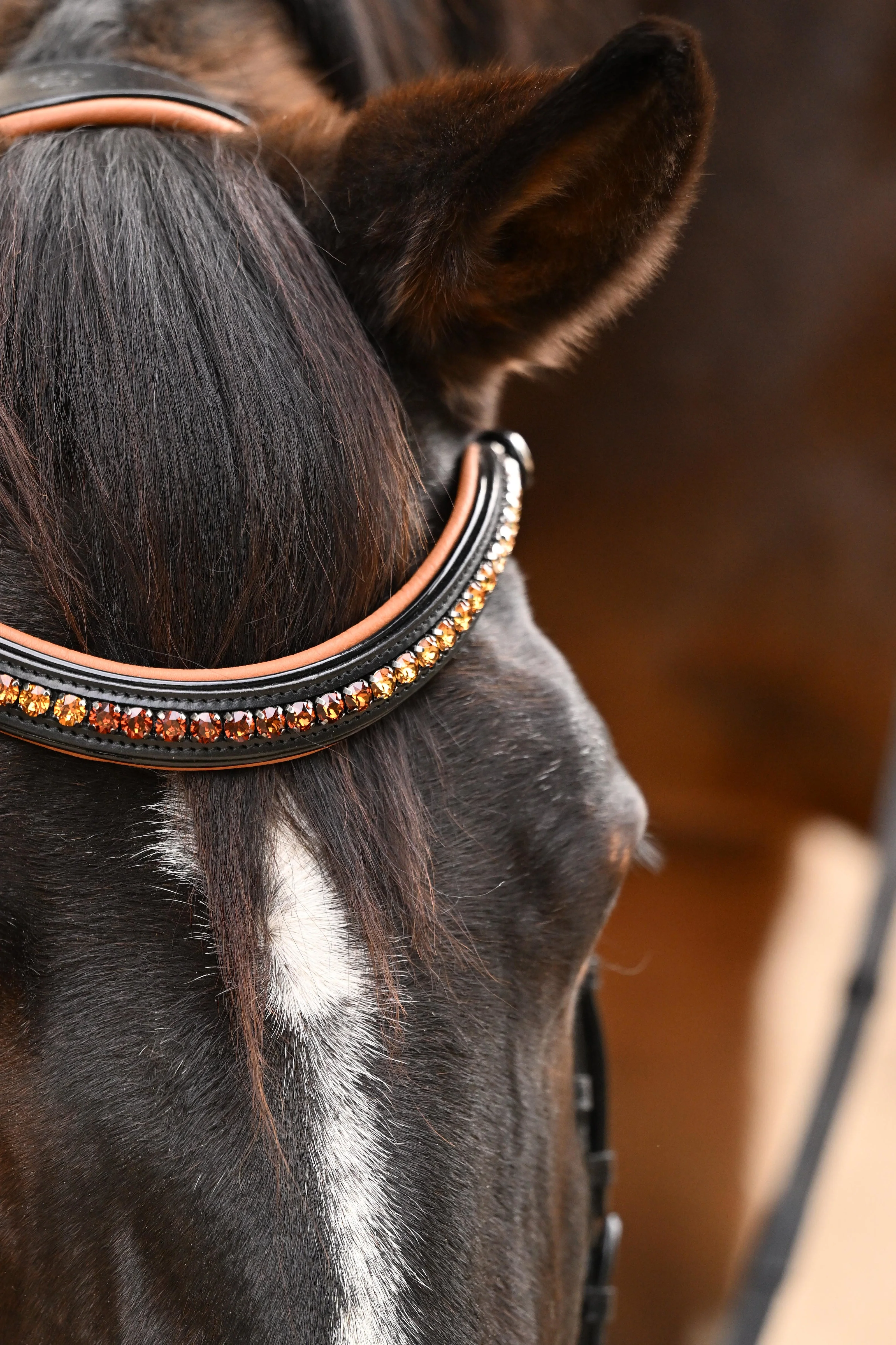The Tuscany Black Leather Rolled Leather Snaffle Bridle with Removable Flash - Image 4