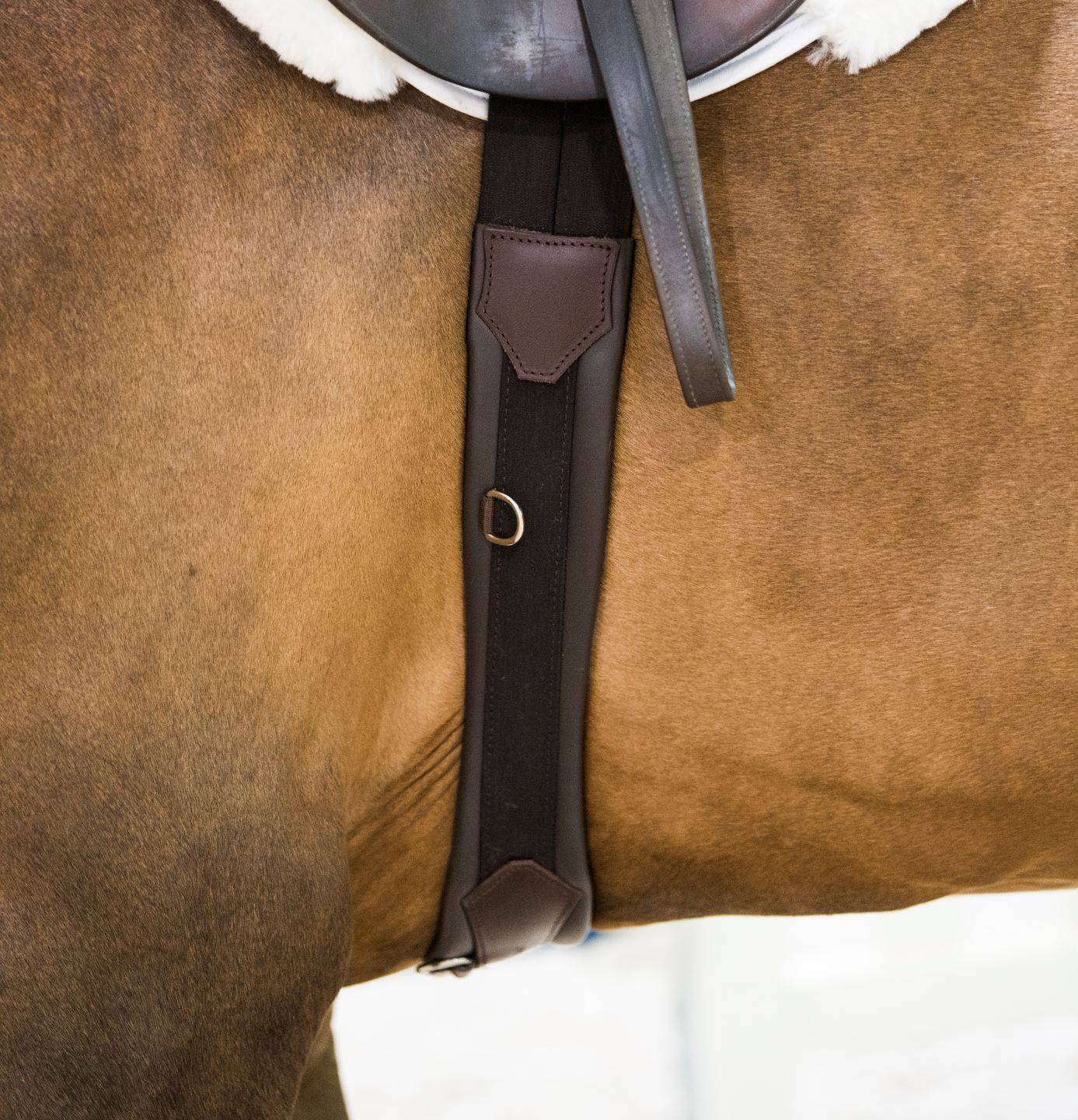 ThinLine Anatomic Hunter Jumper Girth - Image 6